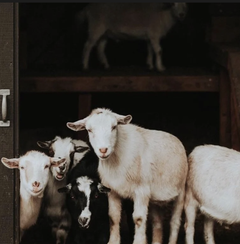 Screenshot 2026-02-17 at 10.08.58 AM.png