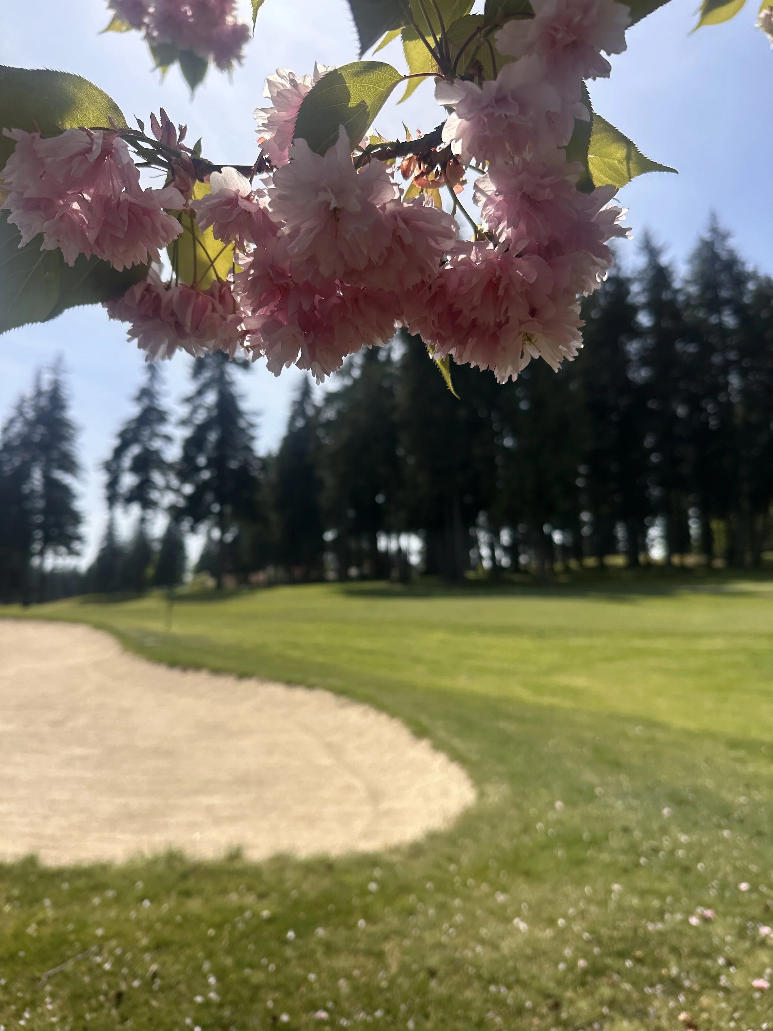 Kitsap Golf &amp; Country Club