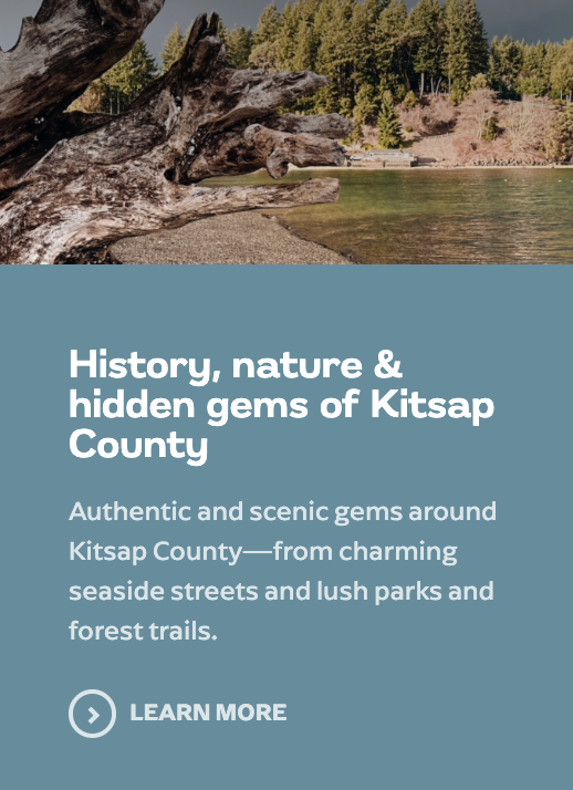 Screenshot 2026-03-03 at 3.57.30 PM.png