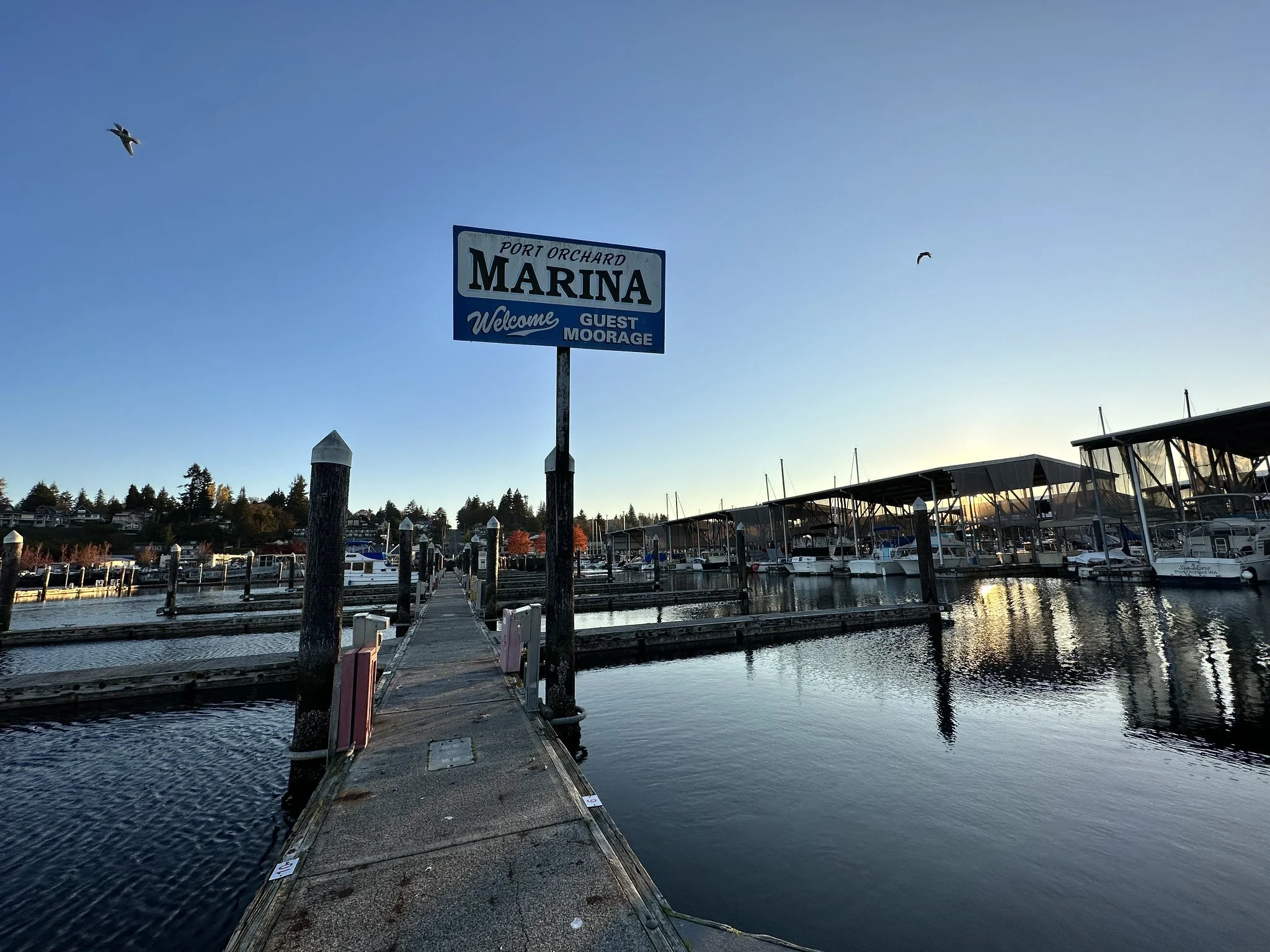 52515206716_9d840a46d6_k (1).jpg