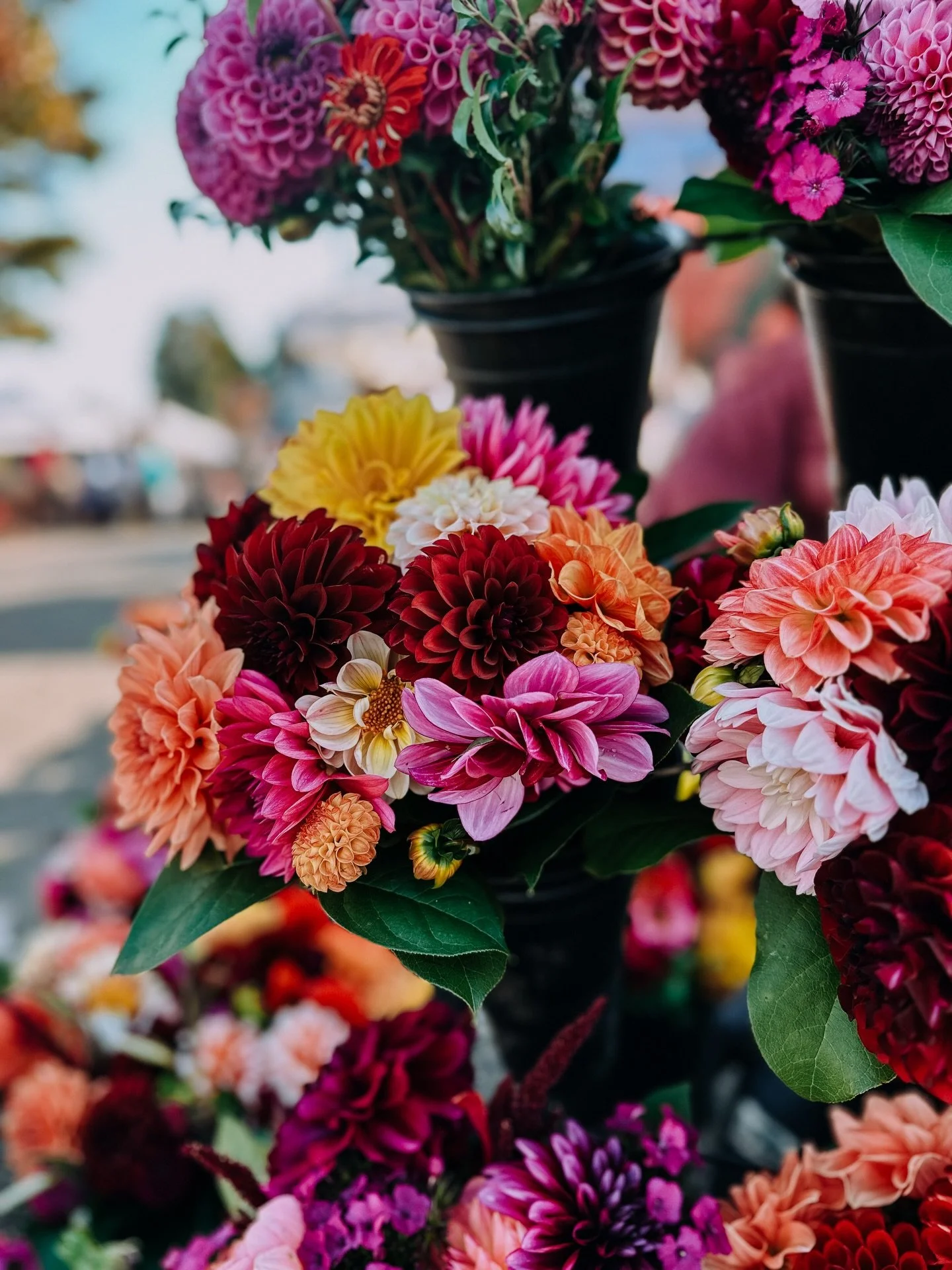 10 things we LIVE about the Port Orchard Farmers Market! To celebrate this weekend&rsquo;s opening day of the 2026 farmers market season on the Port Orchard waterfront. We are thinking fondly of our 10 favorite things about this iconic PNW market! Vi