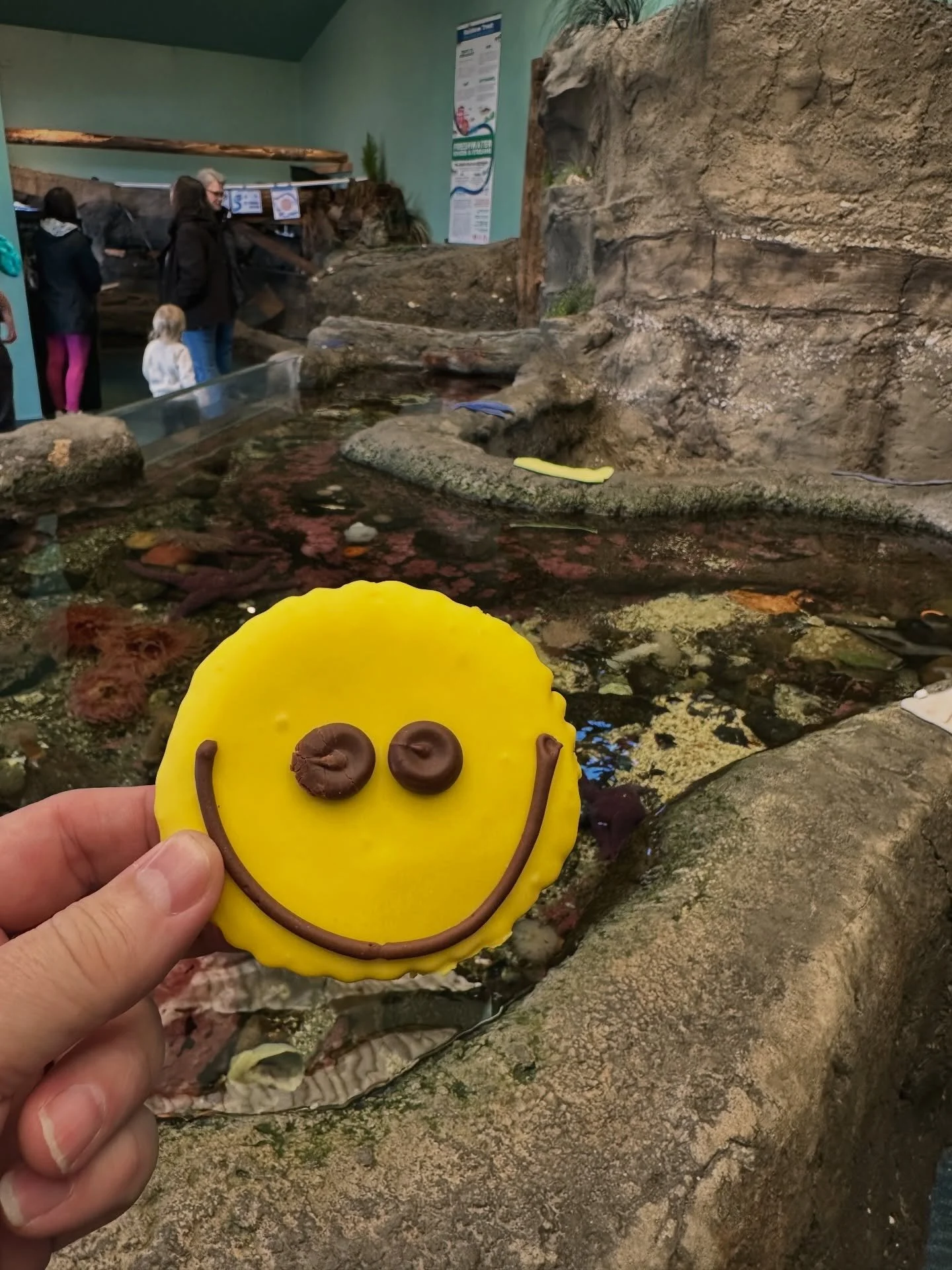 SEA Discovery Center is our happy place and we have the cookie from Sluys Bakery to prove it! 🙂 Open Fri &amp; Sat from 11am-4pm - this hands-on marine science experience is a family favorite right on the Poulsbo waterfront! Entry is by donation and
