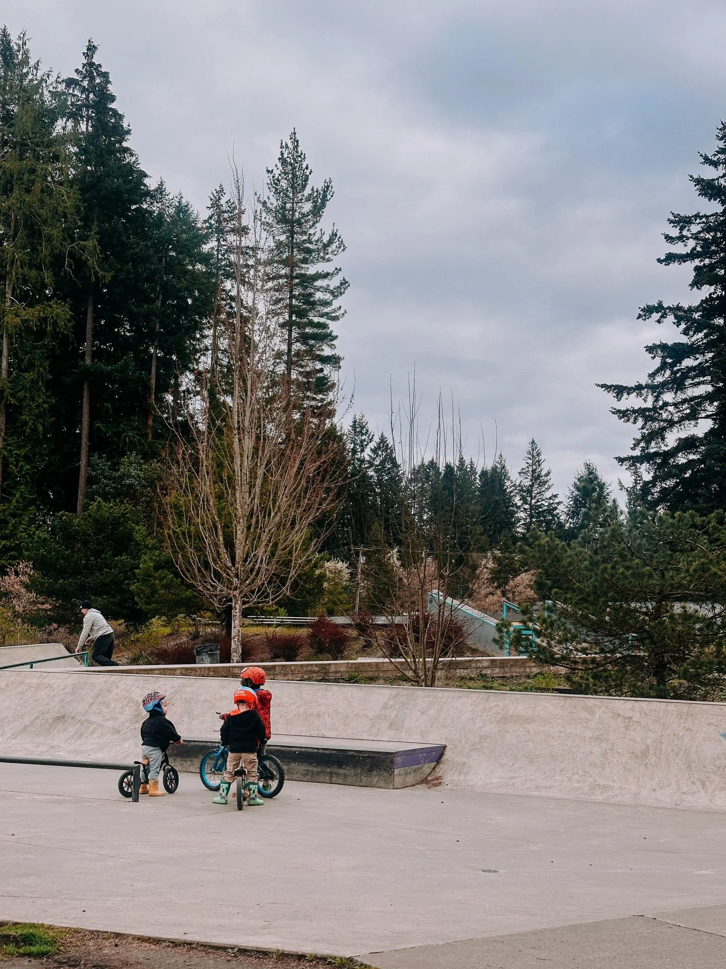 Hidden 💎 
South Kitsap Regional Park

Tucked just off a main intersection in Port Orchard, South Kitsap Regional Park is full of surprises if you&rsquo;re willing to wander a little farther&hellip;

🌲 Slip past the busy ballfields and you&rsquo;ll 