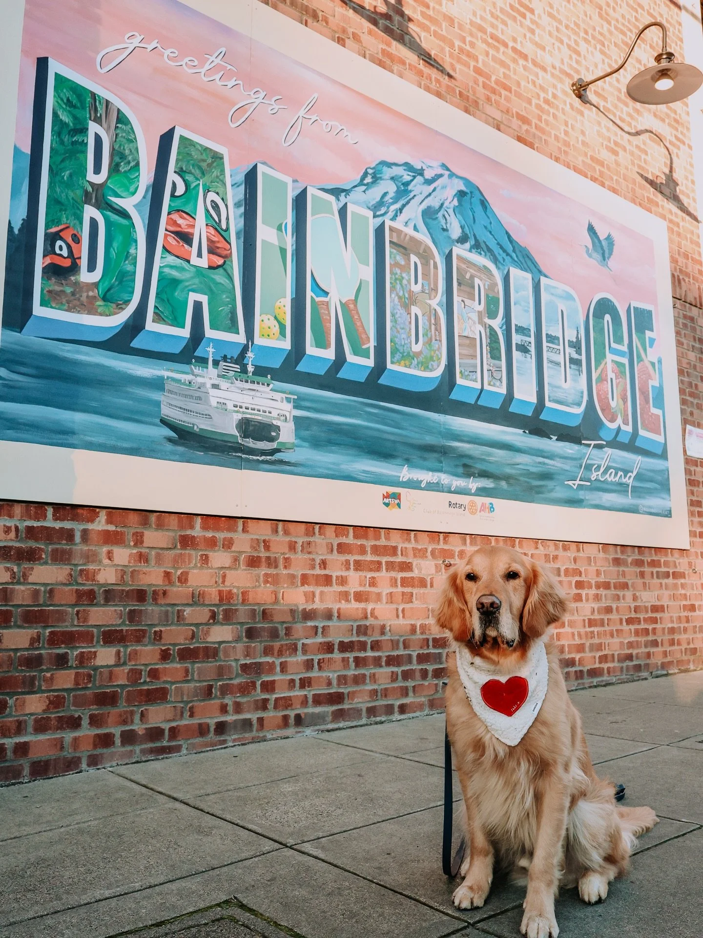 It&rsquo;s a great day to explore the Bainbridge Island waterfront. @scoutgoldenretriever wants to remind you to slowdown and make some memories on this beautiful day. ❤️ 
@visitbainbridgeislandwa 
@bainbridgedowntown 
@bainbridgechamber 
@bainbridge
