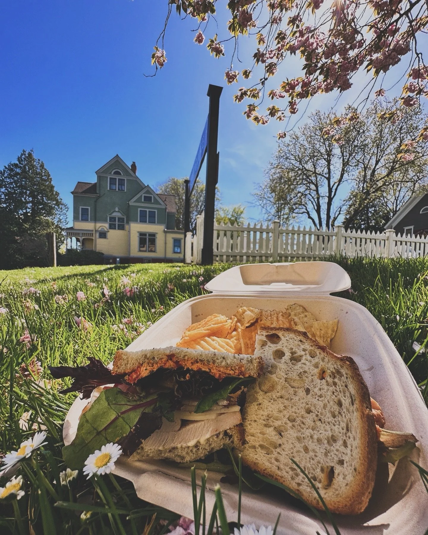 This weekend will be perfect weather for a picnic in Port Gamble. Might we recommend a sandwich from the cafe at the Port Gamble General Store @portgamblegeneralstore eaten on the lush lawn beside the history museum? This time of year the blooms are 
