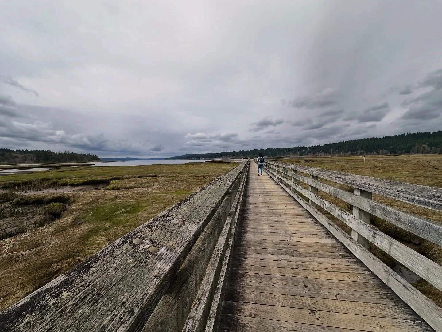 Tidal Ecosystem Guided Walk with Olympic College&rsquo;s Continuing Education program at Theler Wetland. From mushroom foraging, to black smithing, to educational hikes across the Peninsula Olympic College offers a unique catalog of learning experien