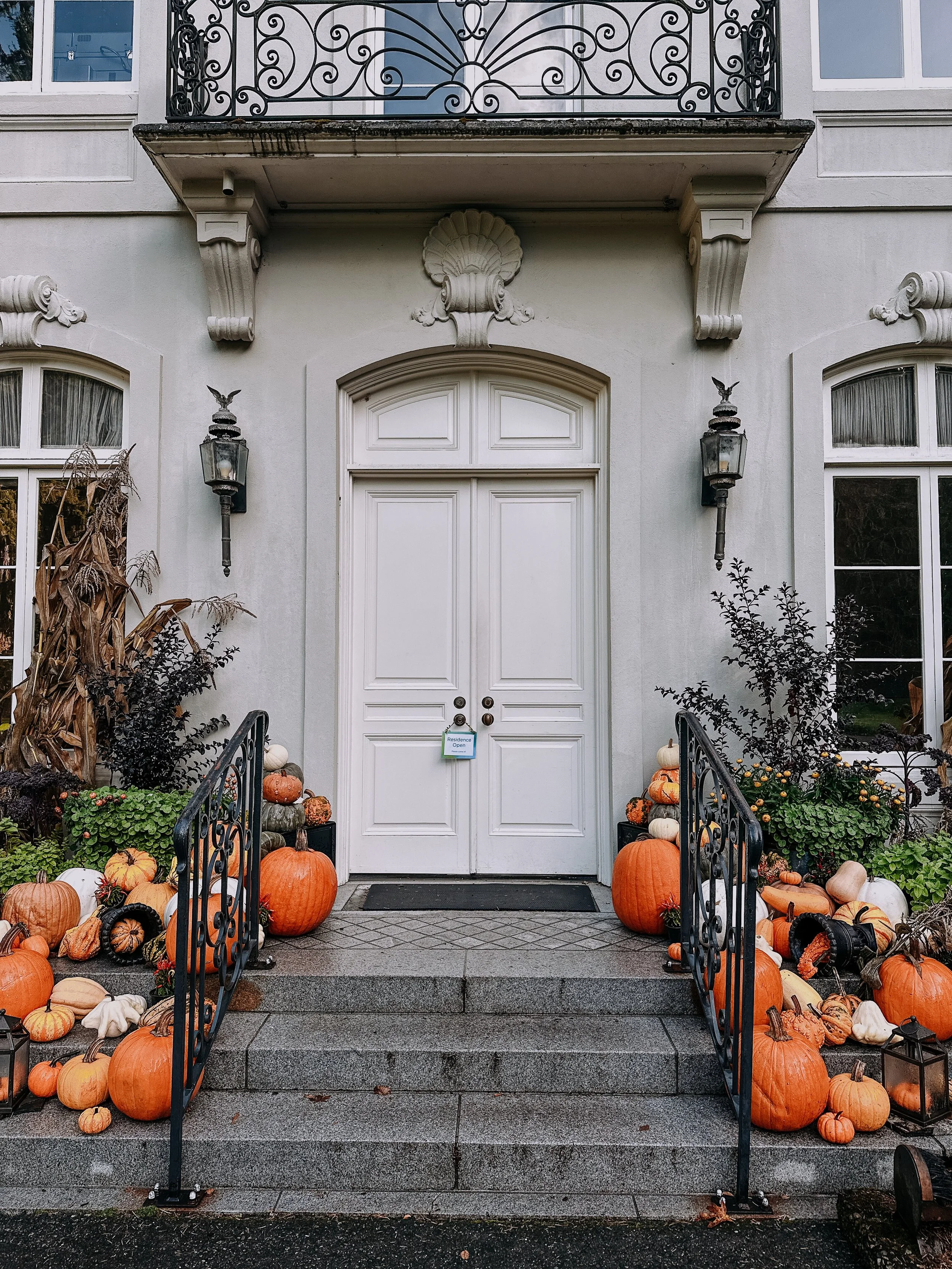You find yourself on the Bainbridge Island ferry. If your next stop involves a instagramable photo op - here&rsquo;s everything you need to know! 
1) @bloedelreserve - Squash Hunt runs Sept 29-Nov 1, all squash activities are included with the price 