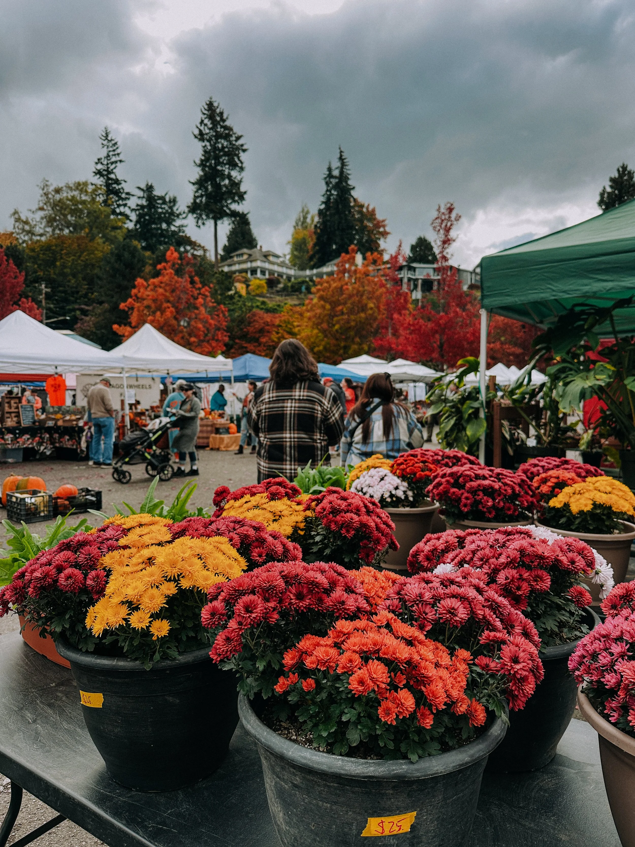 POV: the colors of the @pofarmersmarket are on fire during the autumn season. 

The Port Orchard Farmers Market is the longest running Kitsap open air market and runs through Oct 31. 

@portorchardwaterfront