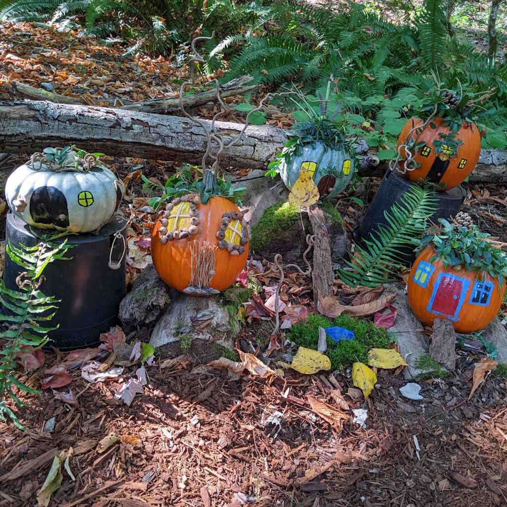 Bainbridge Gardens Pumpkin Walk