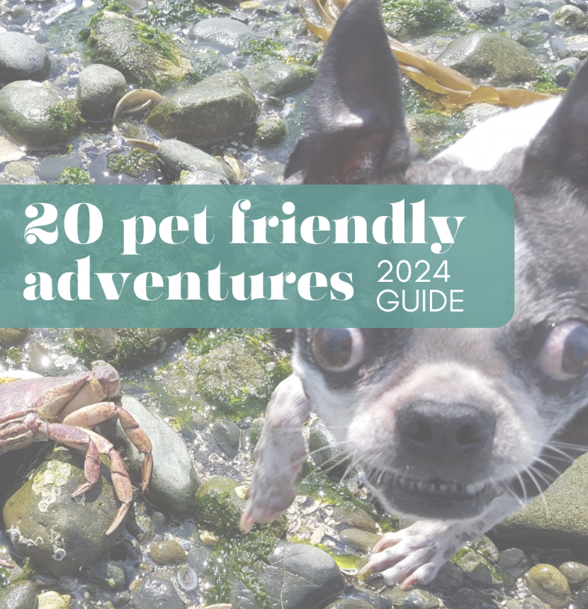 Screen Shot 2024-07-15 at 11.15.06 AM.png