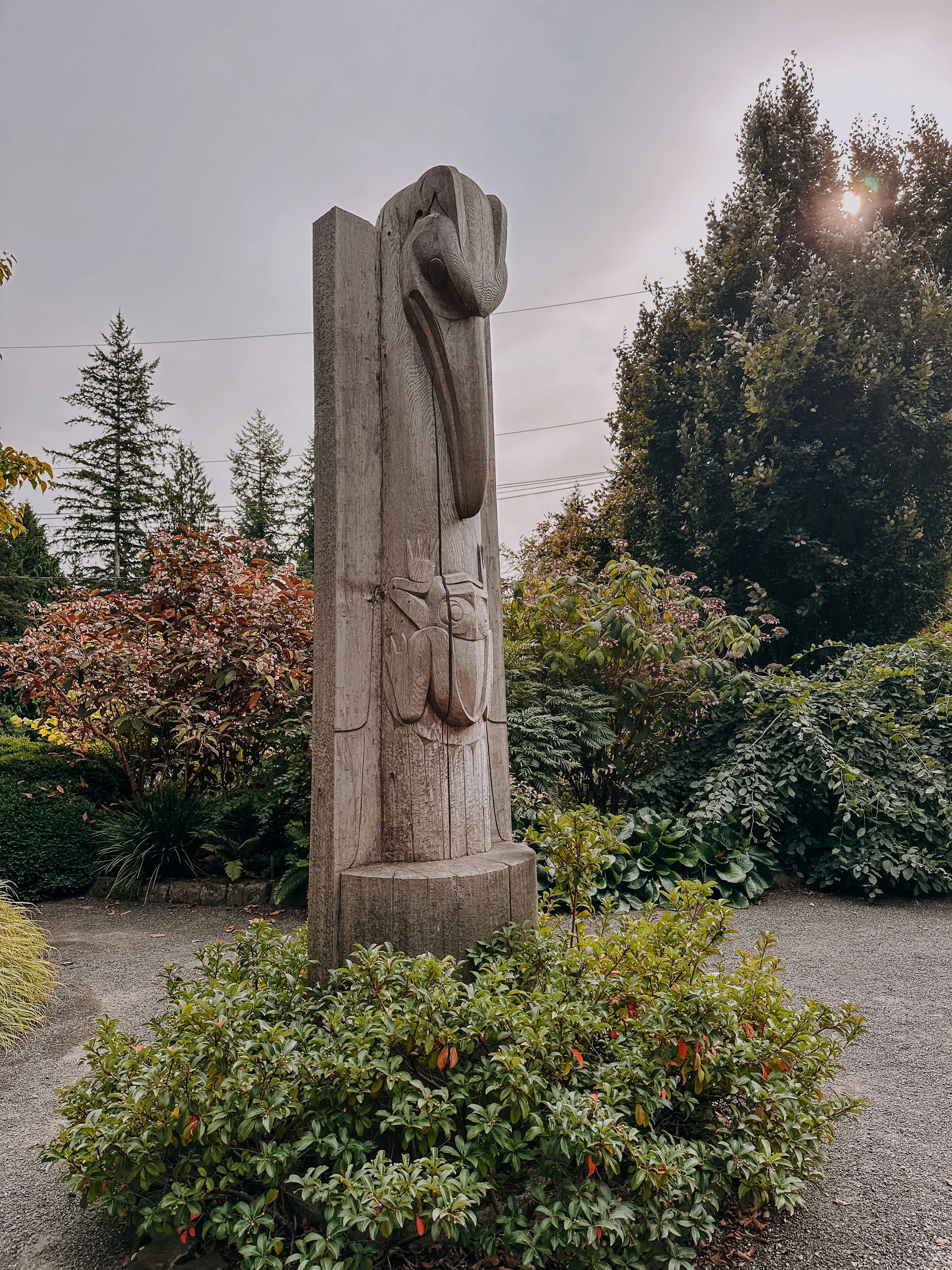 A group of people riding a small train with Port Orchard Live Steamers through a South Kitsap Regional Park with tall trees and greenery in Port Orchard. 