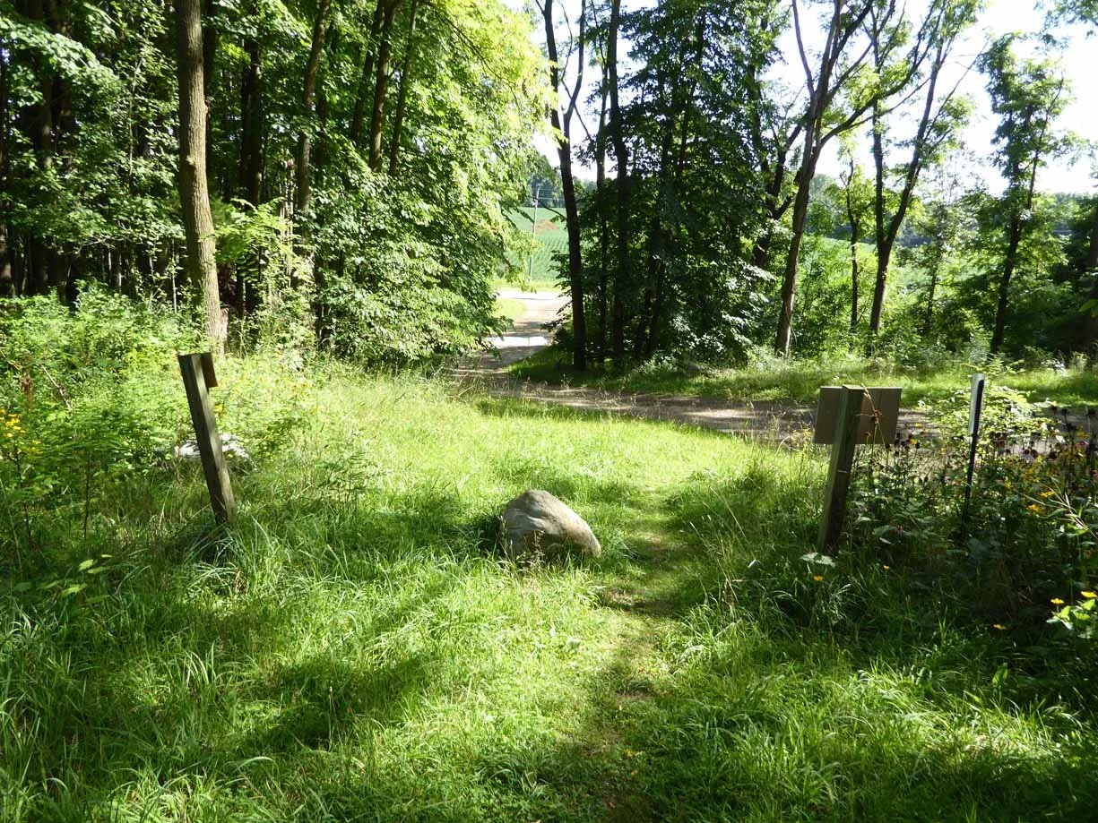 Untitled , 2021 Digital Photograph Copyright @ 2021 Joseph Roy