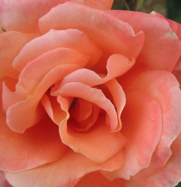 high on emotions.png