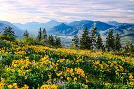 Methow Valley Chamber Music Festival