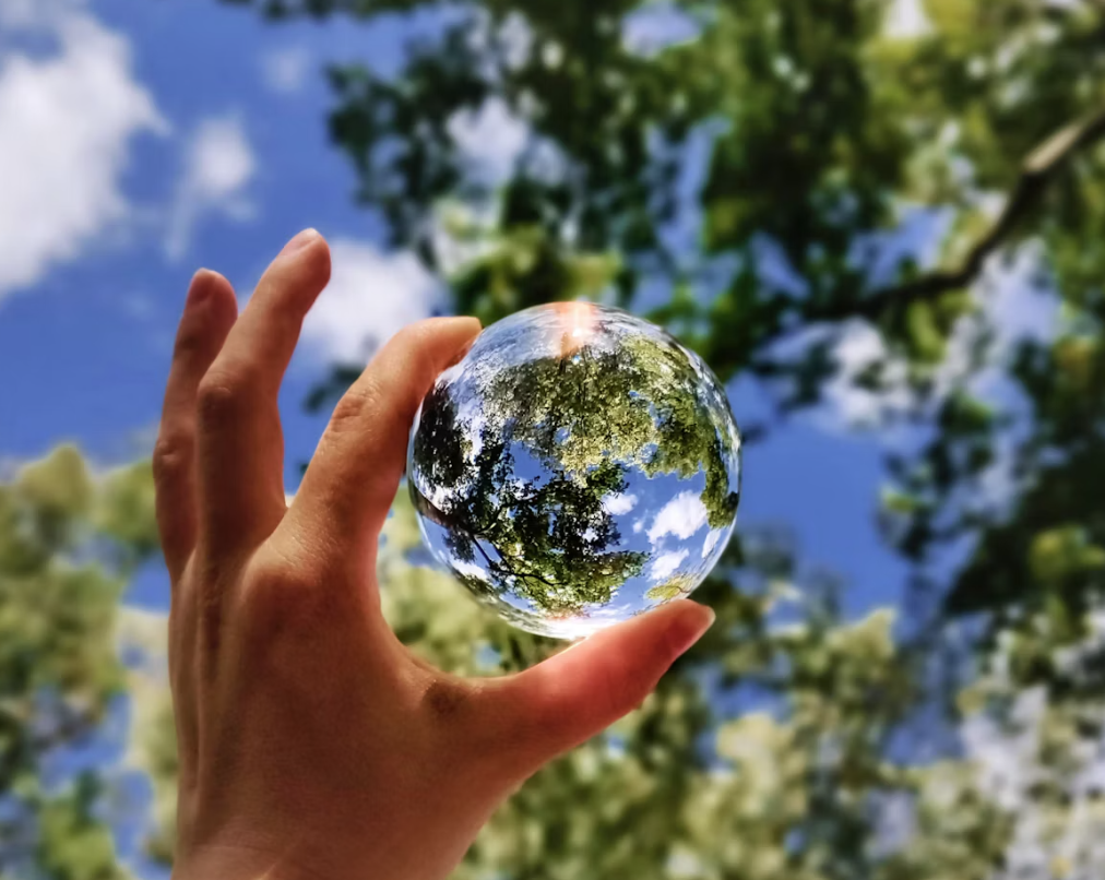 EARTH DAY IN IDLEWILD PARK