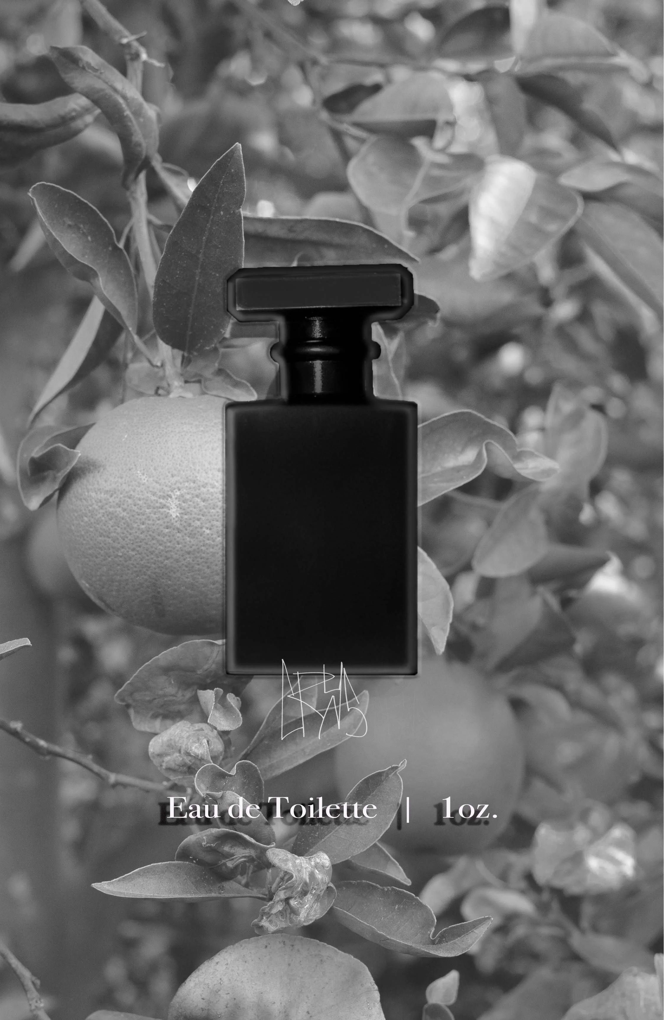 Promo Fragrance II.jpg