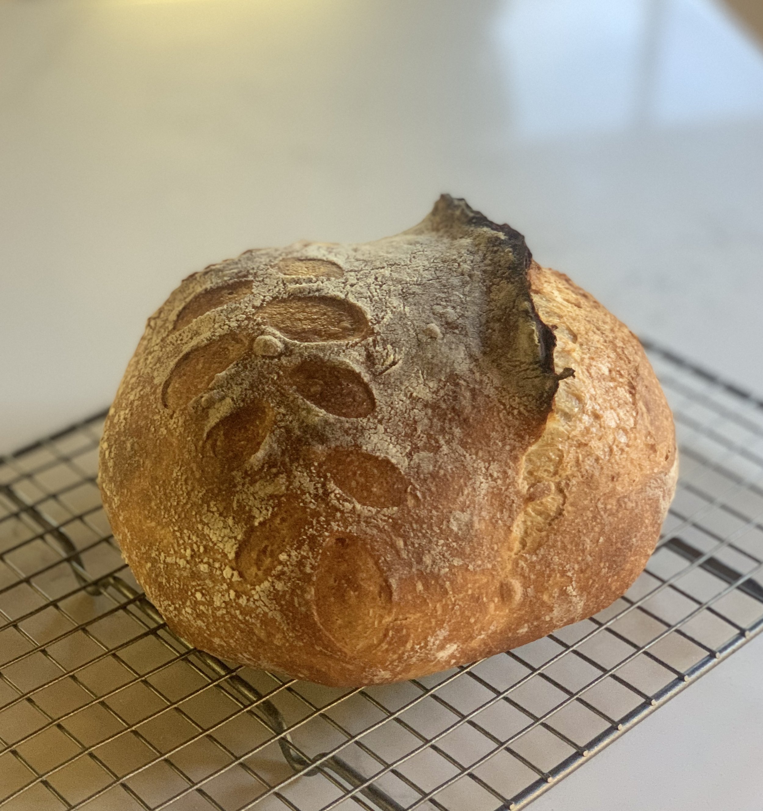 Sourdough Lodge Bread