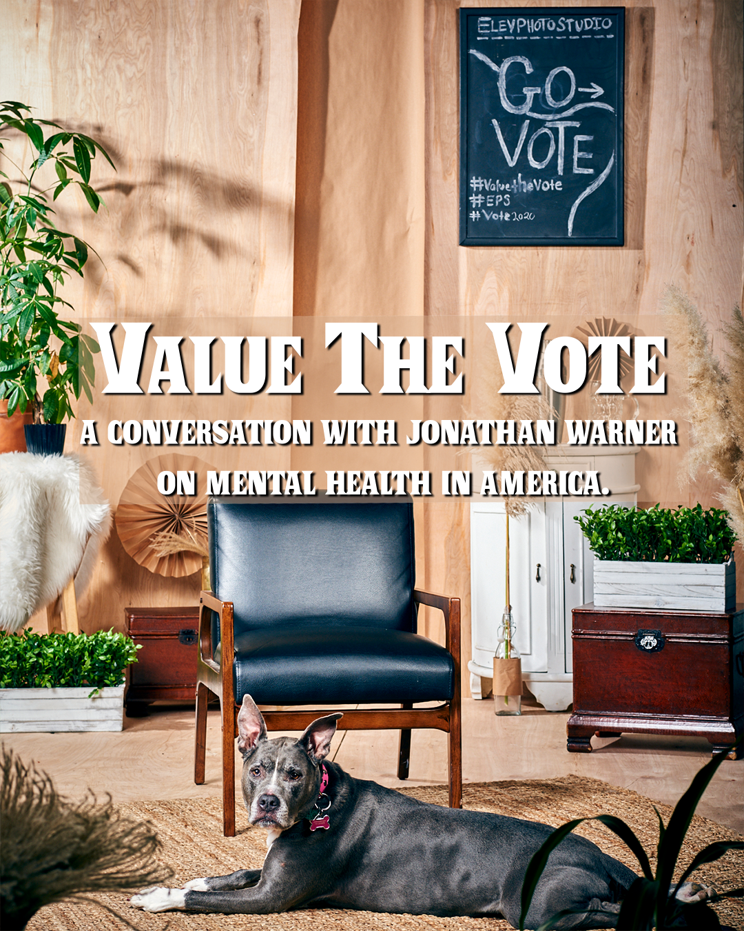 valuethevote-10.png