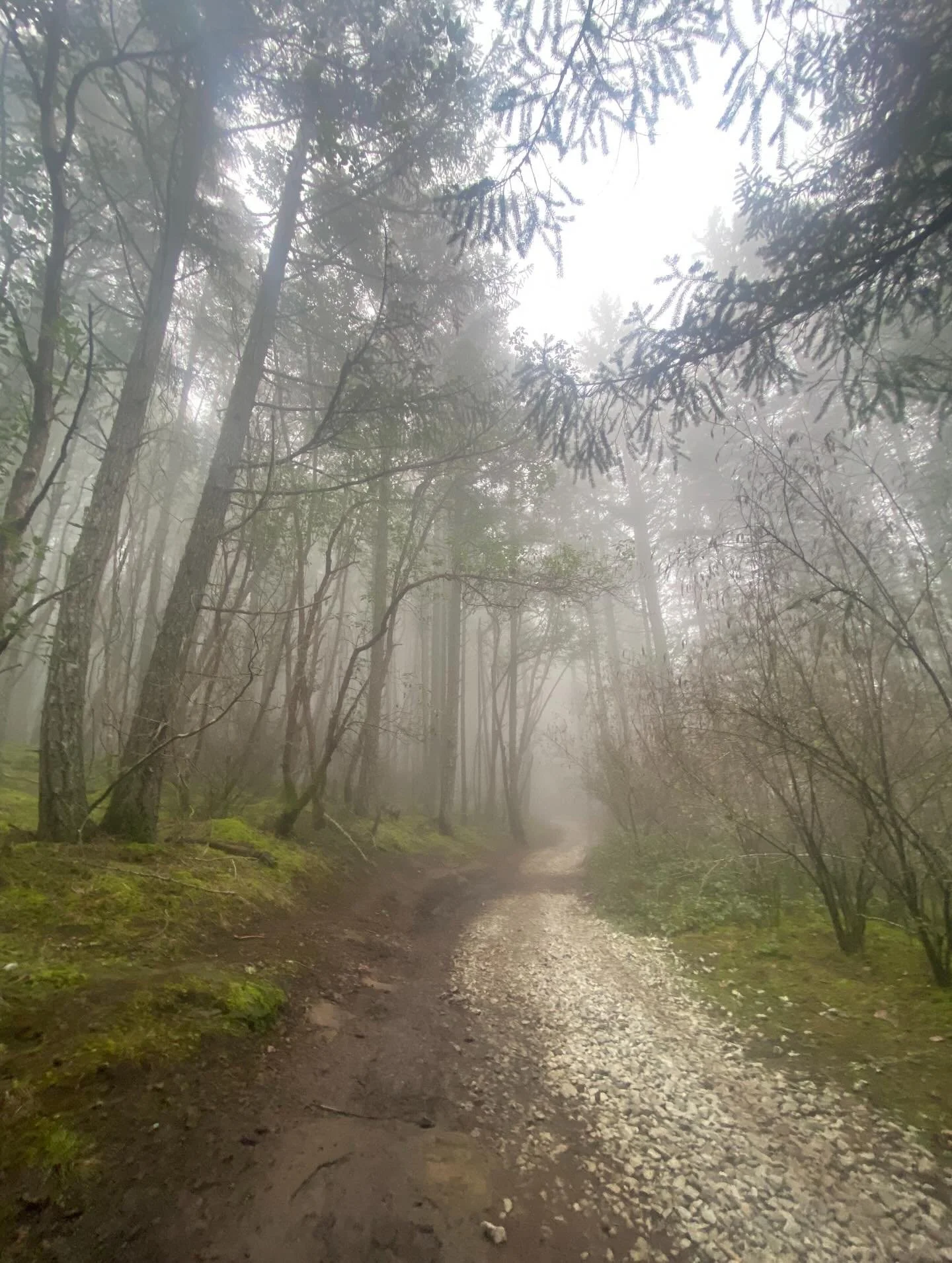 A nuance most people miss about TFSAs:

A TFSA isn&rsquo;t just a savings account.
It&rsquo;s a t@x-free investing tool &mdash; and how it&rsquo;s used makes a massive difference.

Using a TFSA only to earn 1&ndash;2% interest is a bit like owning a 