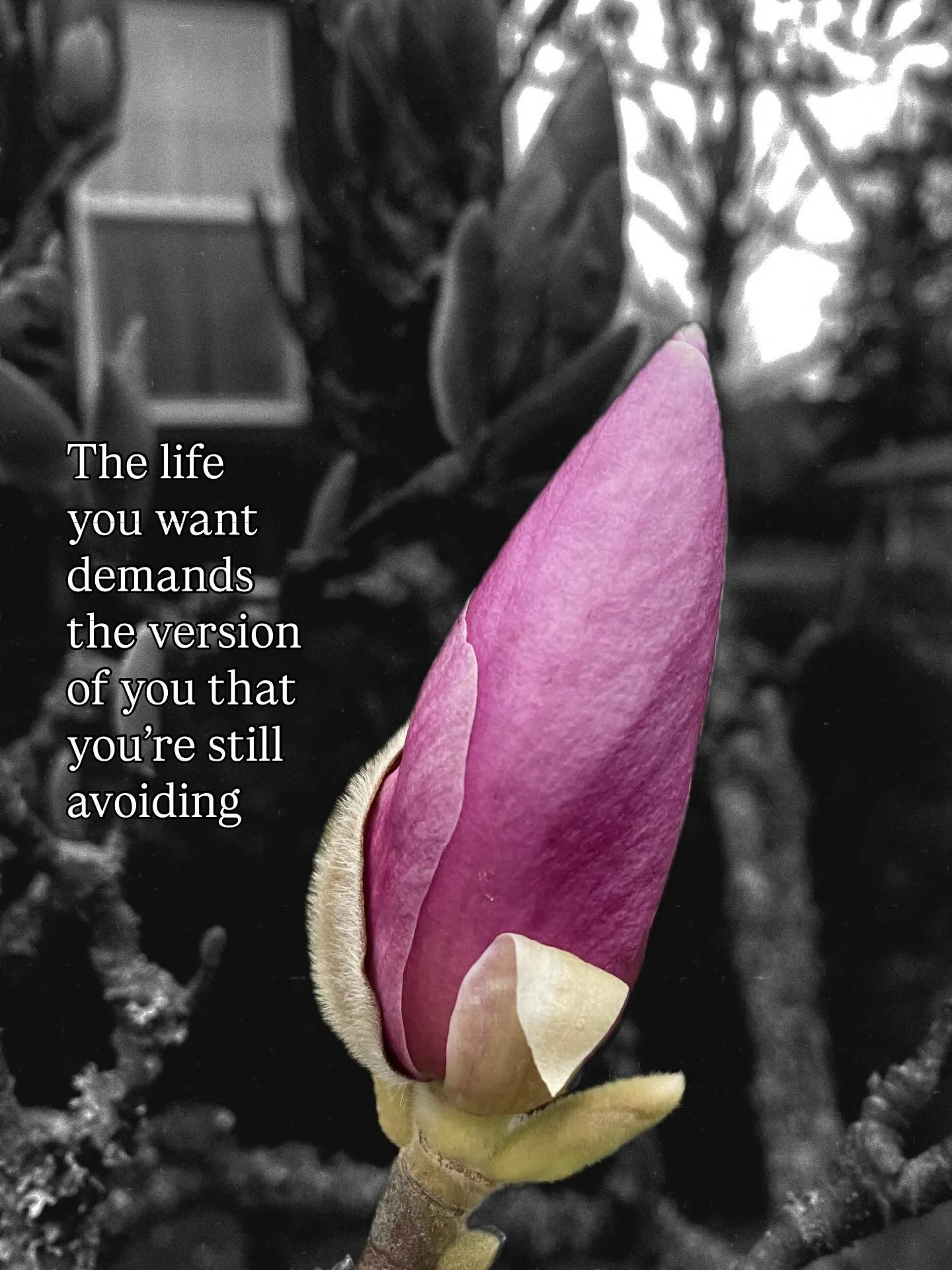For years I was chronically stressed, cortisol-filled, and completely dysregulated. 
I pasted a big smile on my face while underneath I was constantly fretting about security - not only for myself, but for my kids.  
And it wasn&rsquo;t just life&mda