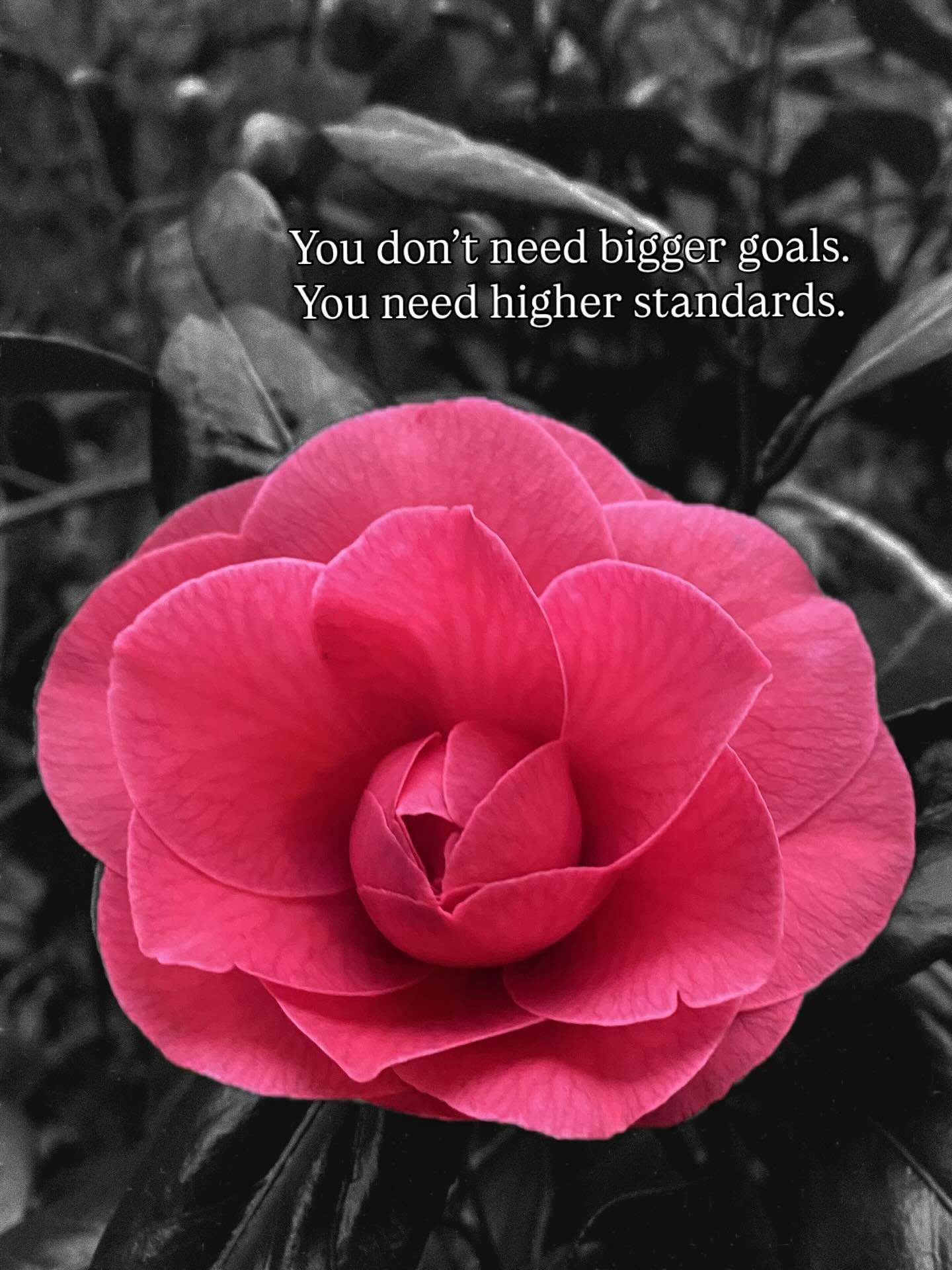 You don&rsquo;t need bigger goals. You need higher standards. 
Wanting more means nothing if you&rsquo;re still tolerating: not understanding your money inconsistent income no clear plan&hellip; just hoping it works out 
I lived there&mdash; constant