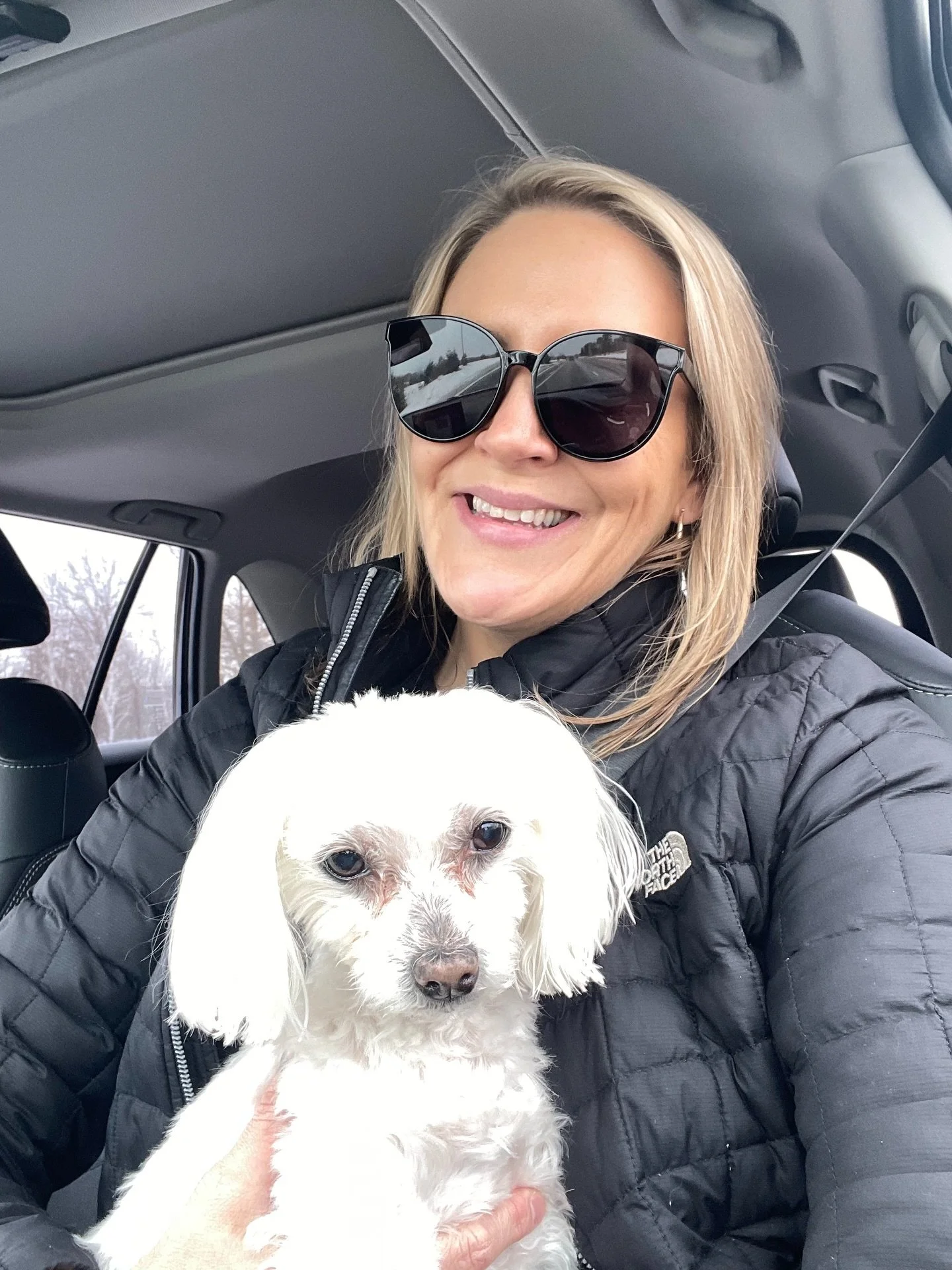 Missing on lil miss Cricket today. Just over a year since she passed. Amazing this lil Maltese made it 3 months shy of 17 years. We had a good 16.5 together. My forever baby. #casualcricket #maltese #malteselife