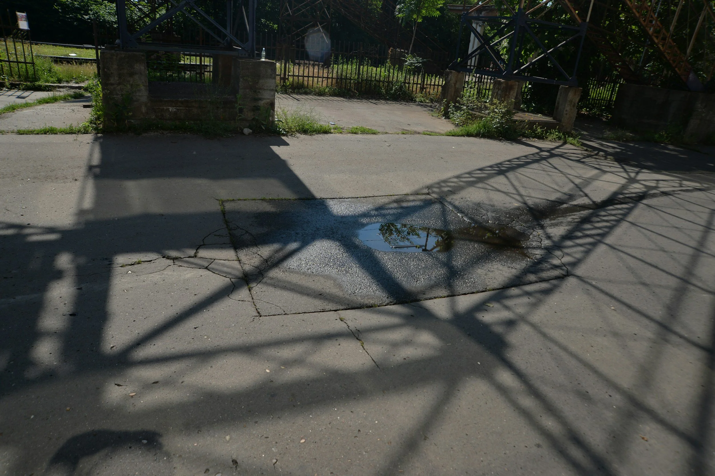 DAy 17 - Light and Shadow: shadows cast from metal railings onto a concrete surface