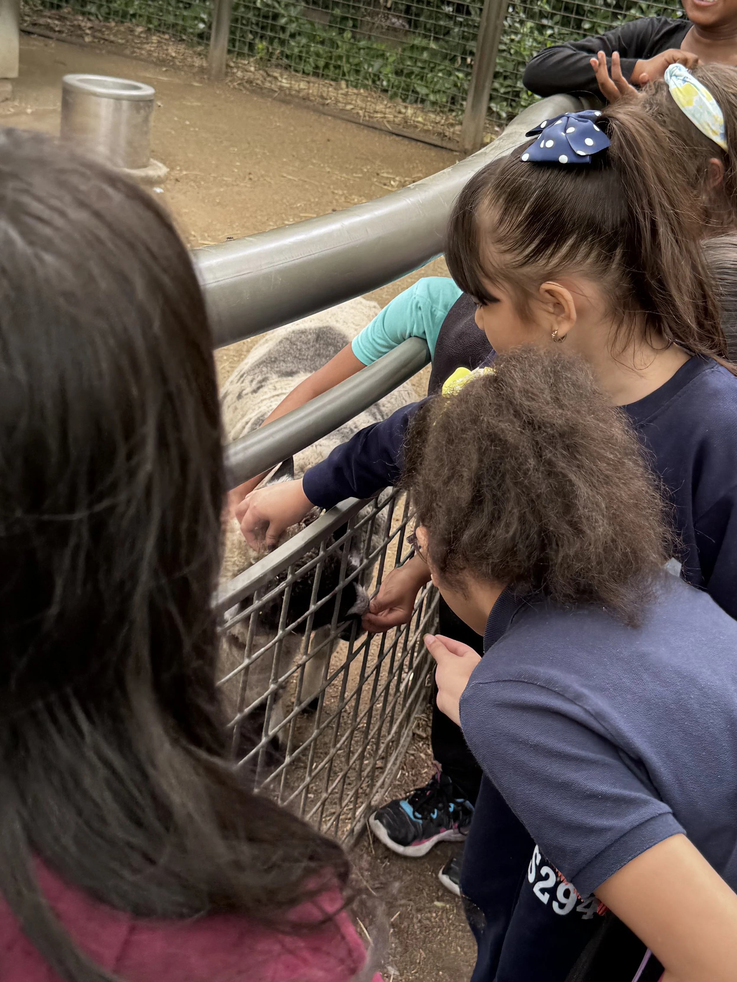 Central Park Zoo_202.jpeg