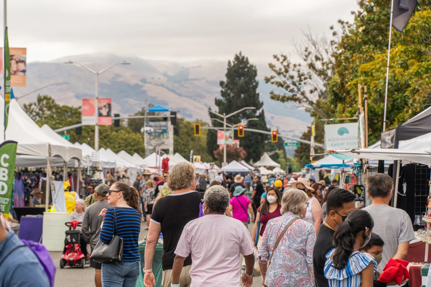 Fremont Festival of the Arts