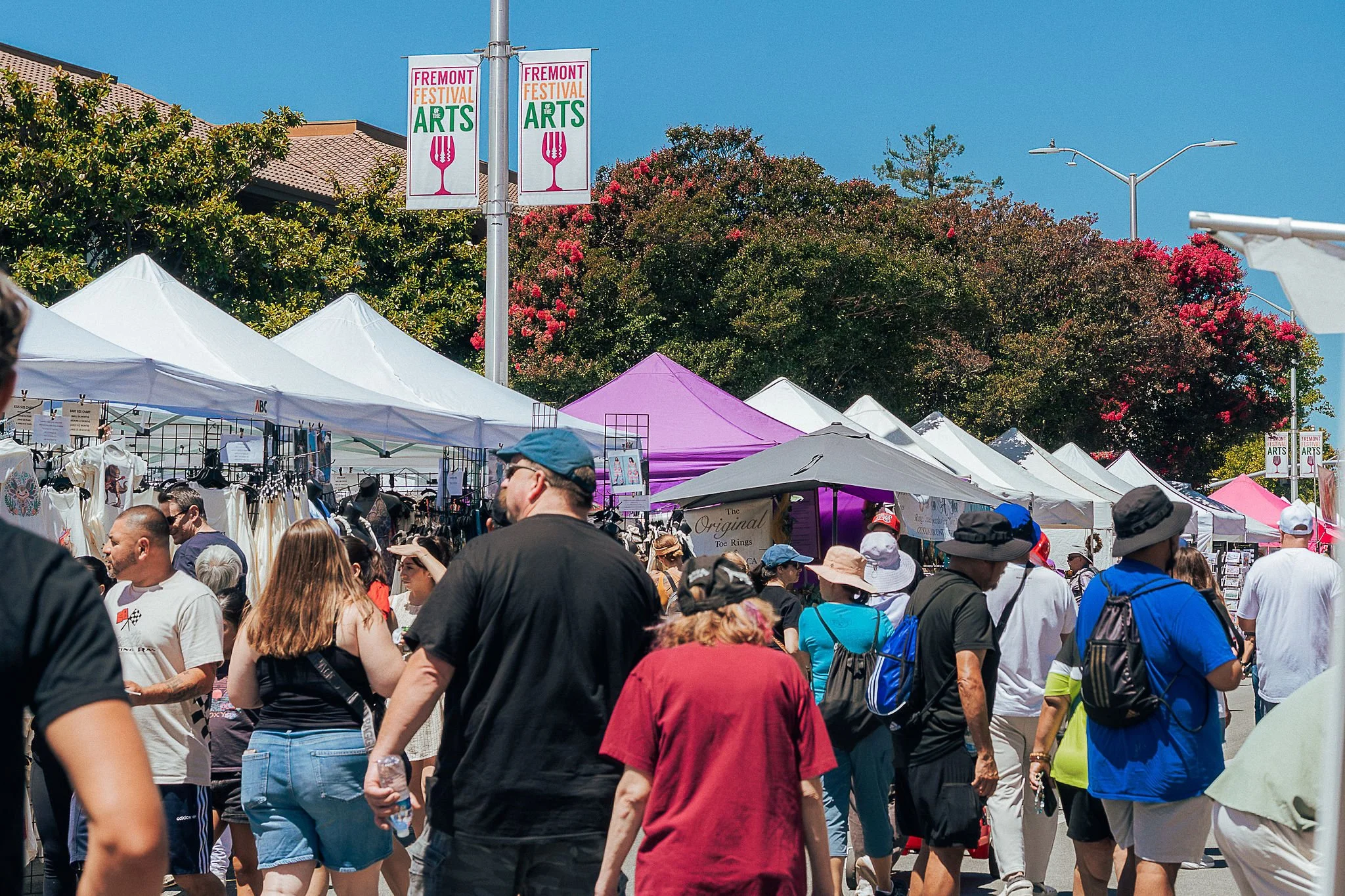 26_FremontArtFest-44.jpg