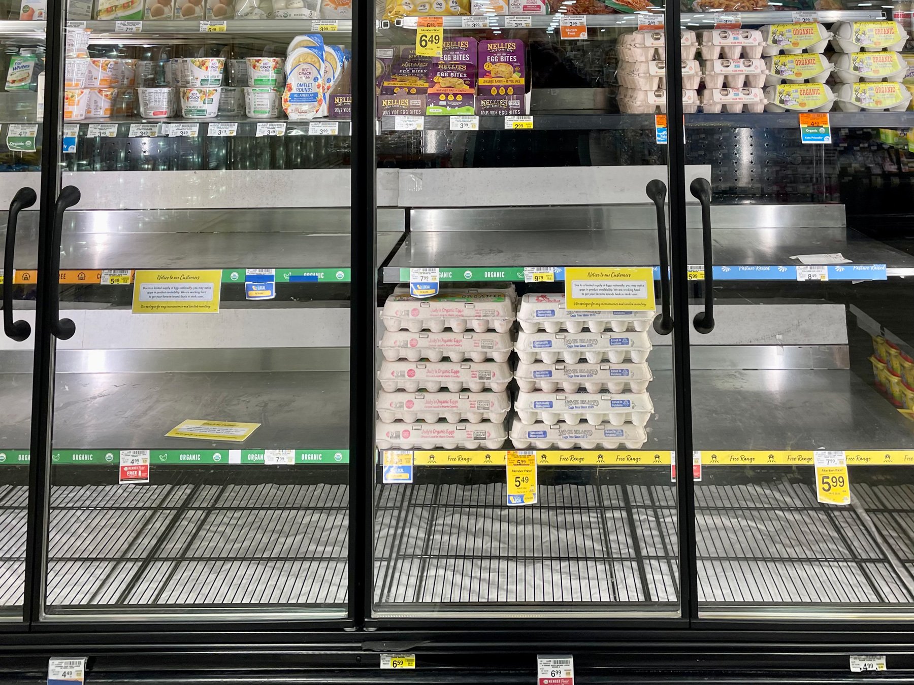 Where did all the eggs go?