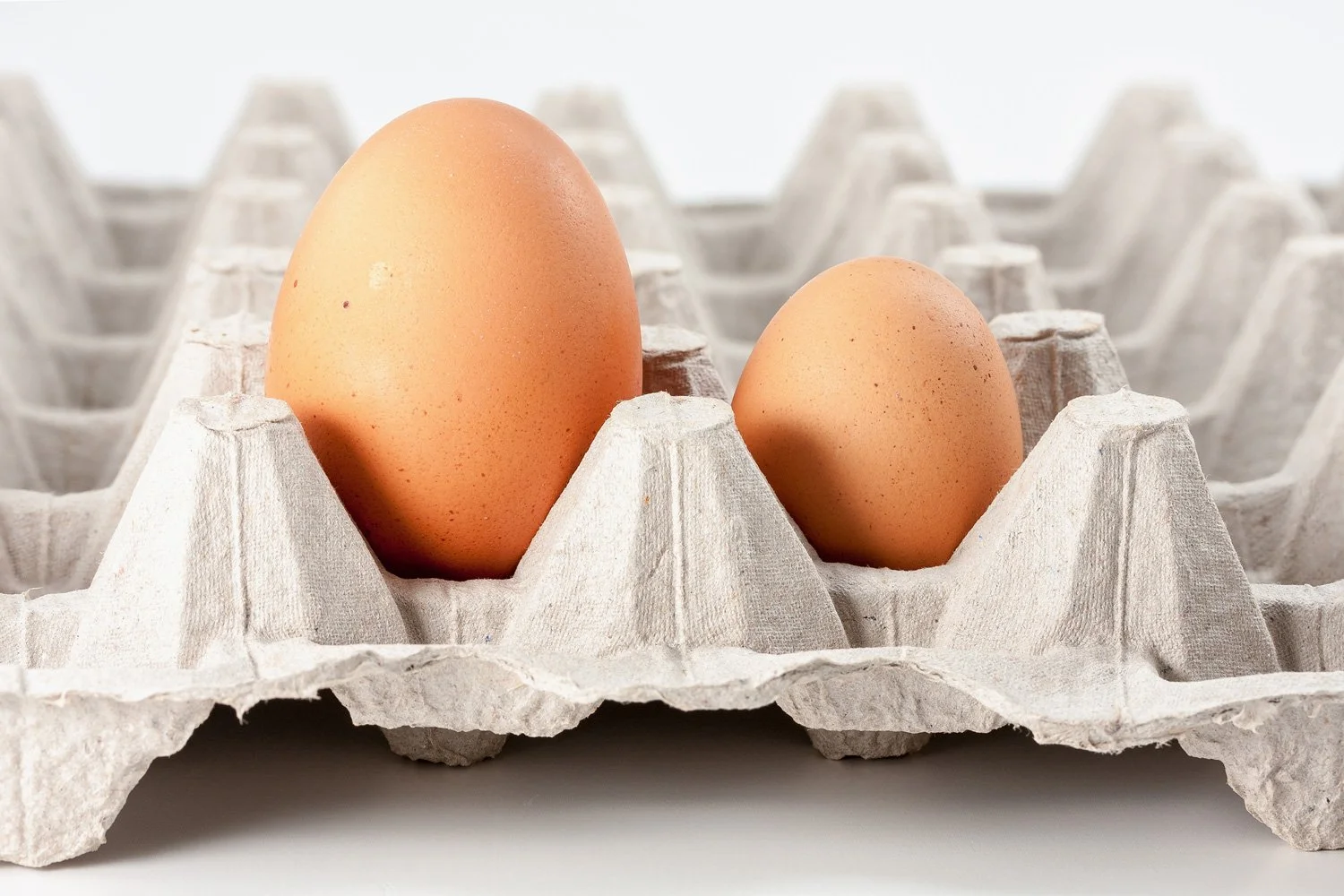 Why Size Matters: Understanding Egg Grades and Sizes