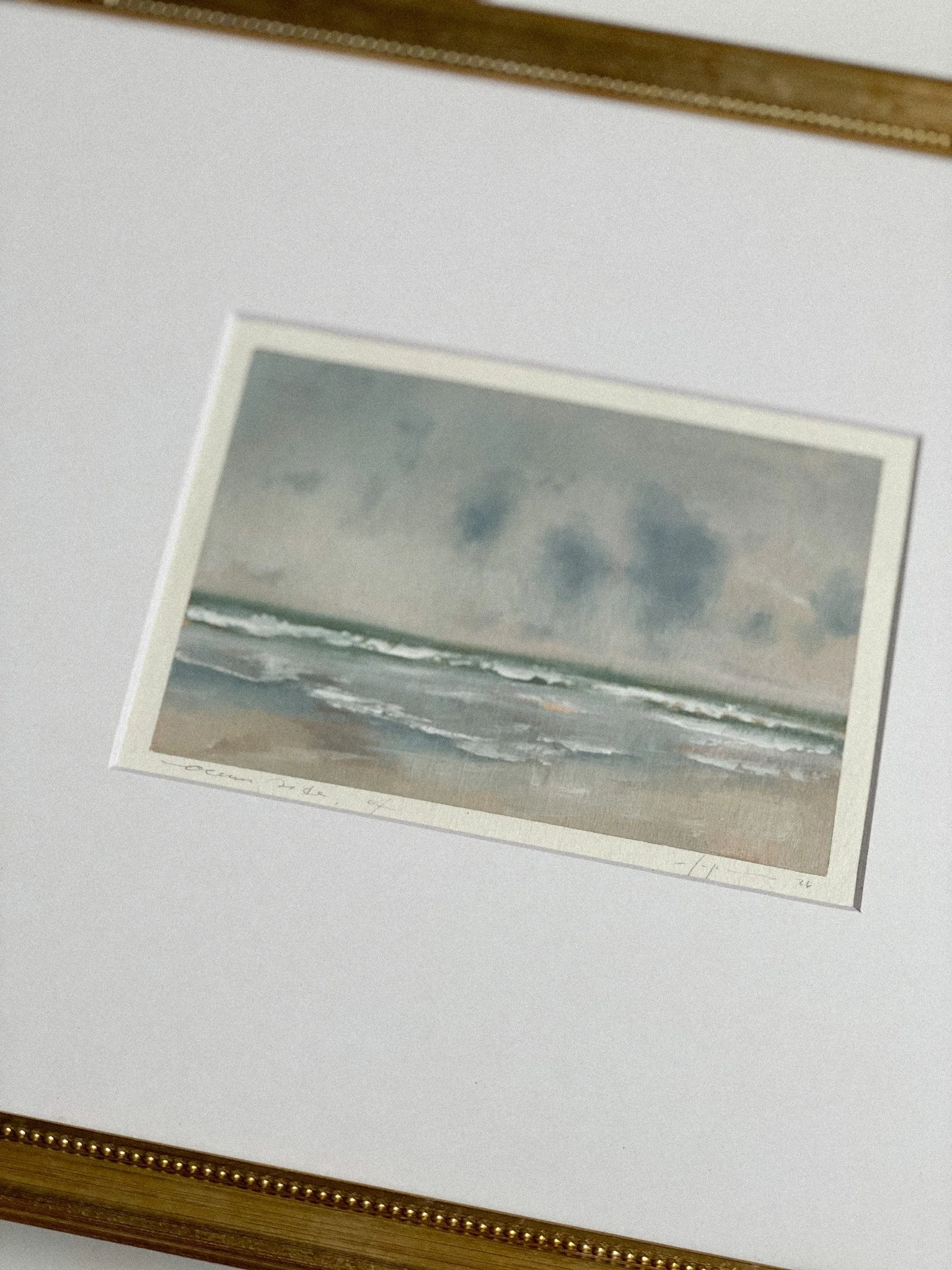 IMG_4255.jpeg