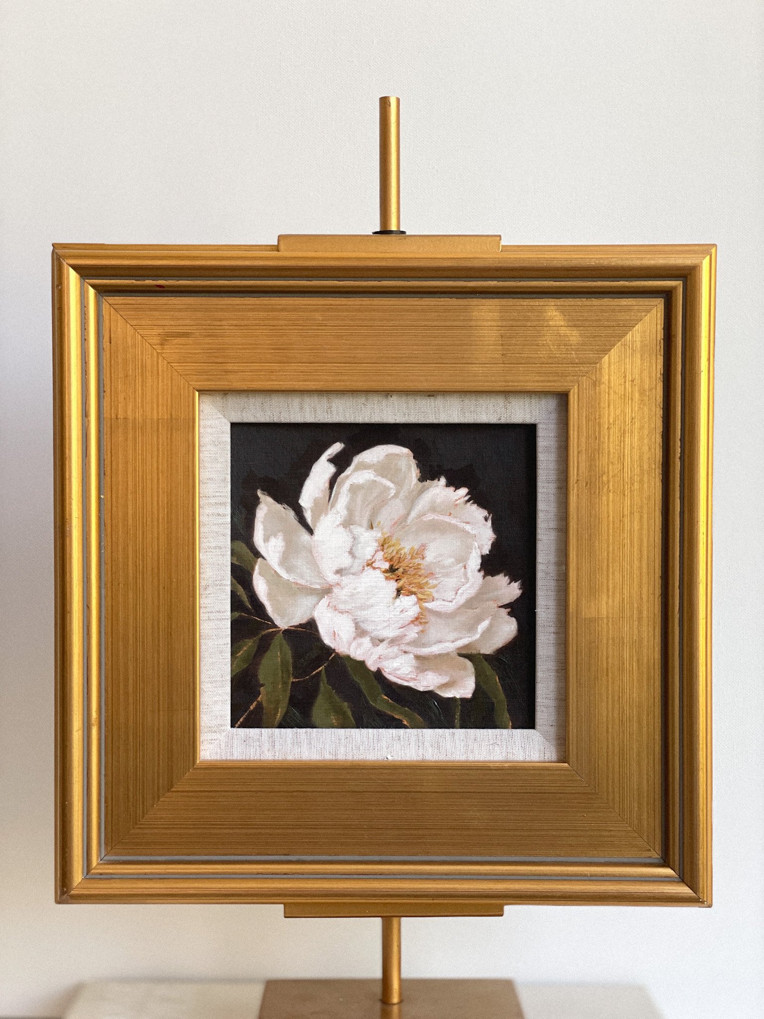 Garden Peony no 3