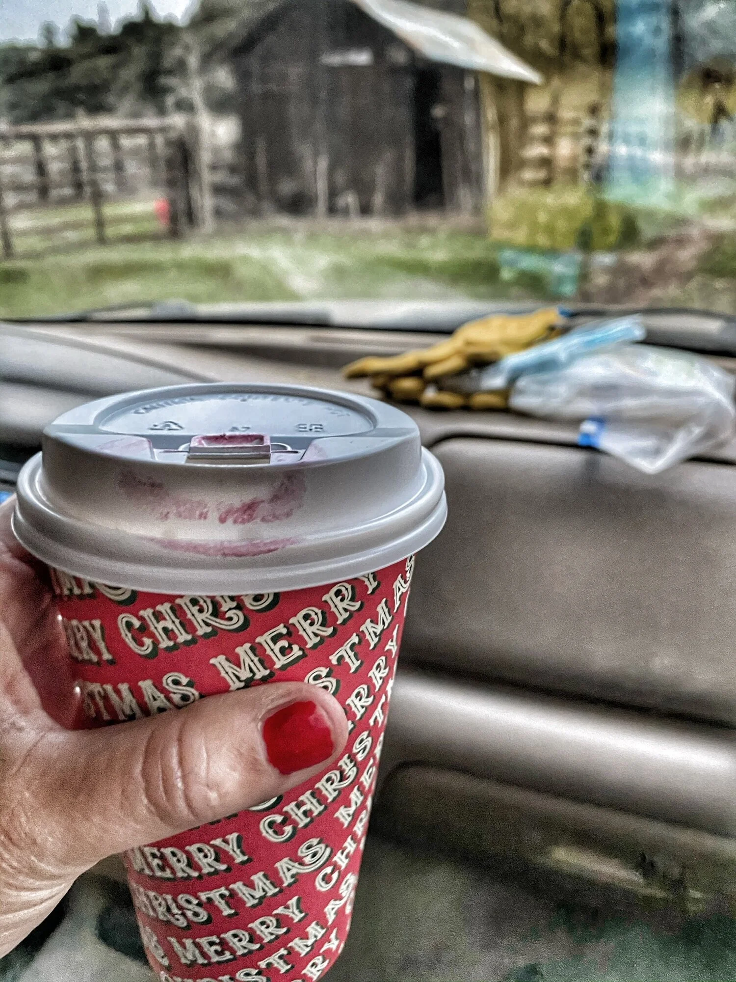 Christmas, Cows and Carols