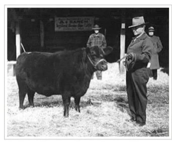 102 Years of Angus Excellence  