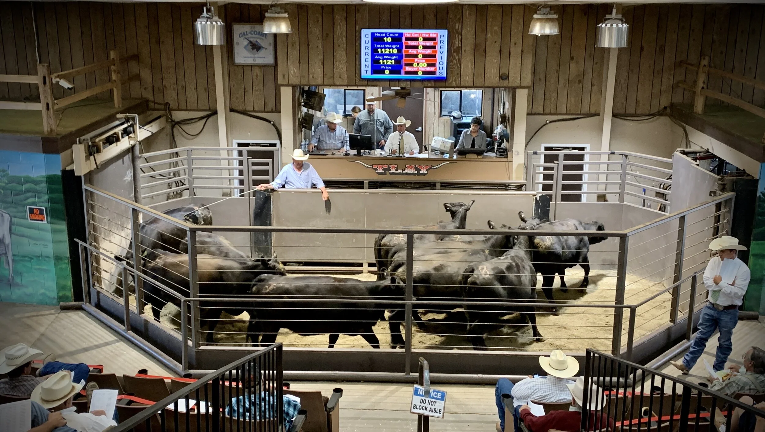 Turlock Livestock Auction Yard 