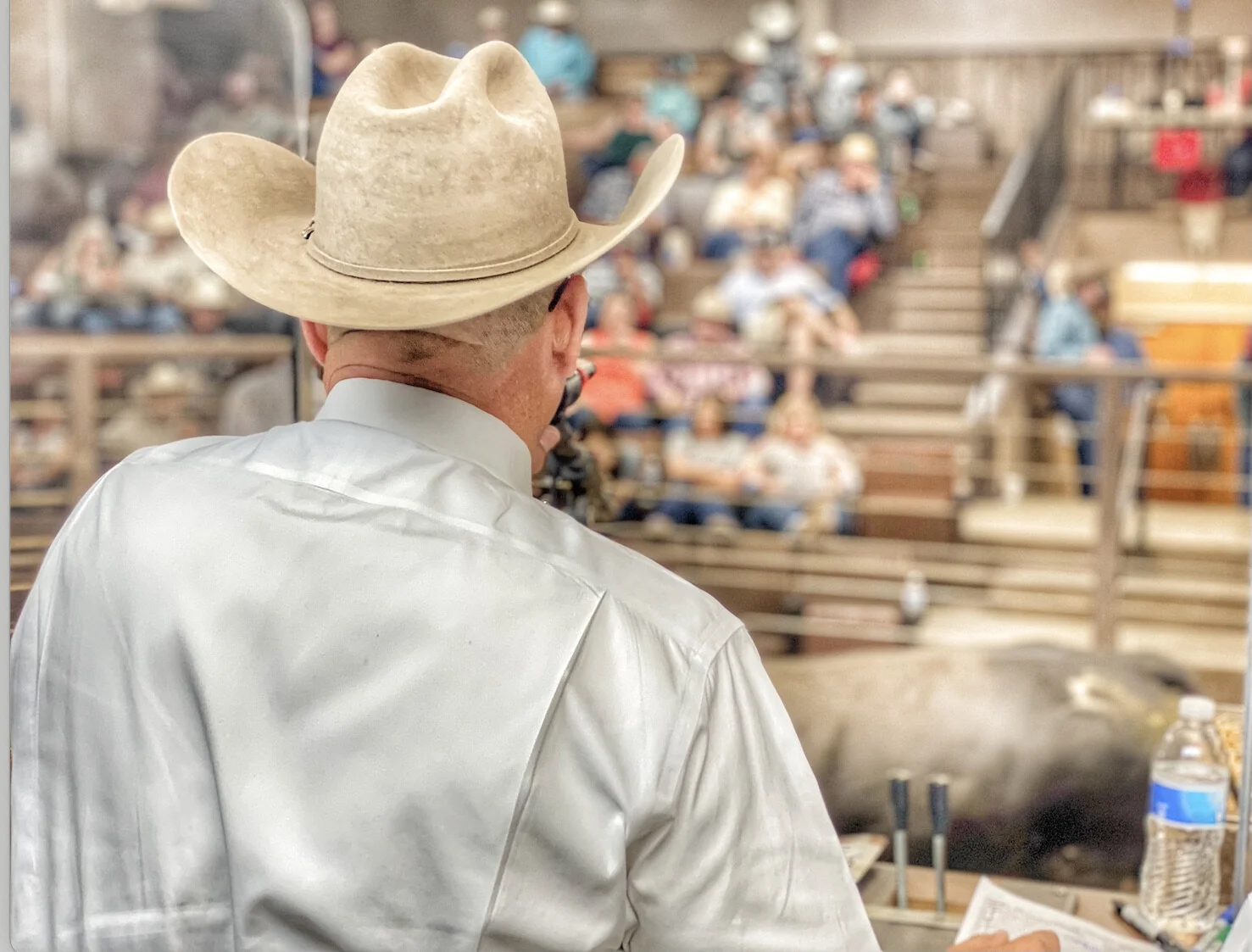 Screen Shot 2021-07-23 at 12.01.29 PM.jpeg