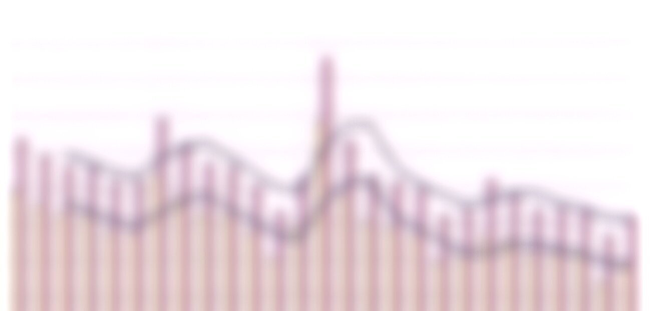 Debit-One-Simulation-Summary-Graph.jpg