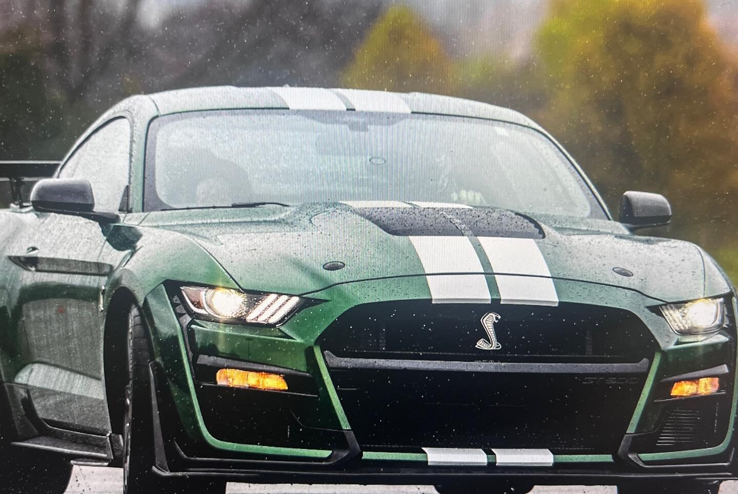 Happy #NationalMustangDay from Gateway Mustang! Send us photos of your ride!