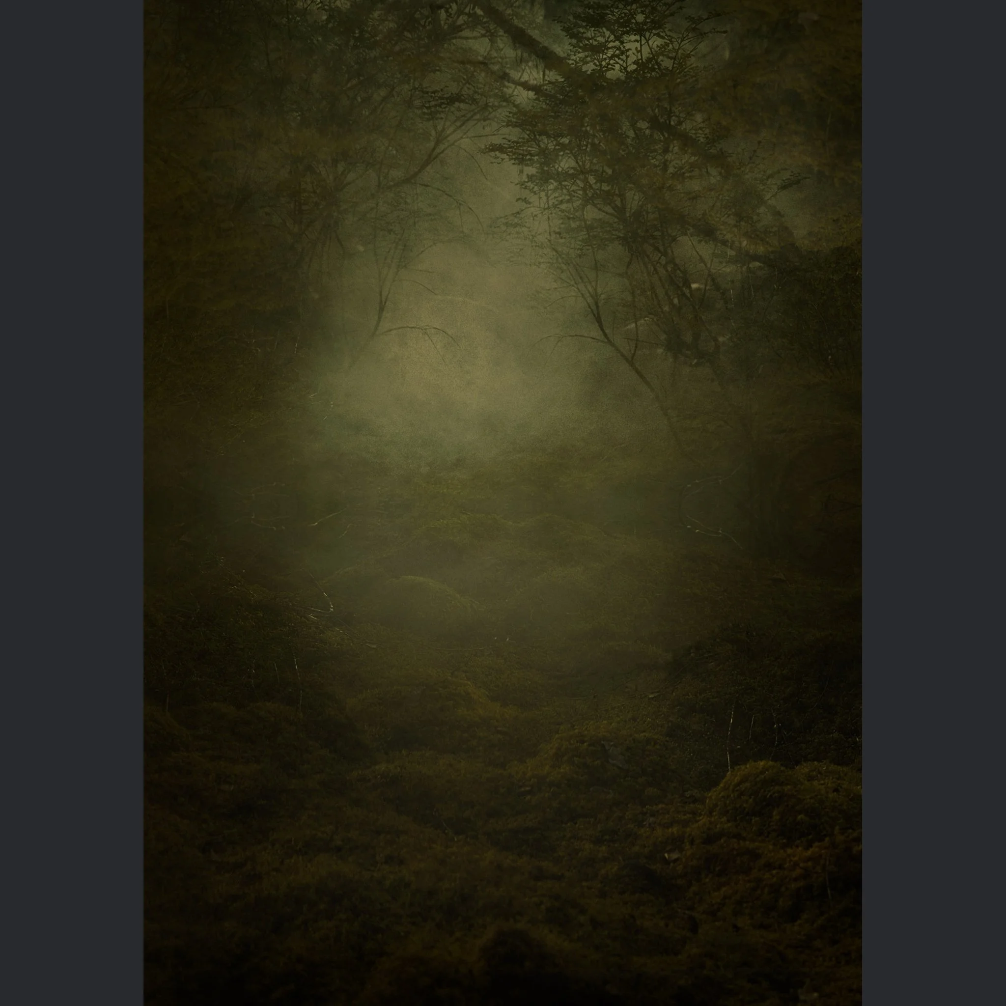 IntoTheWoods copy.jpg