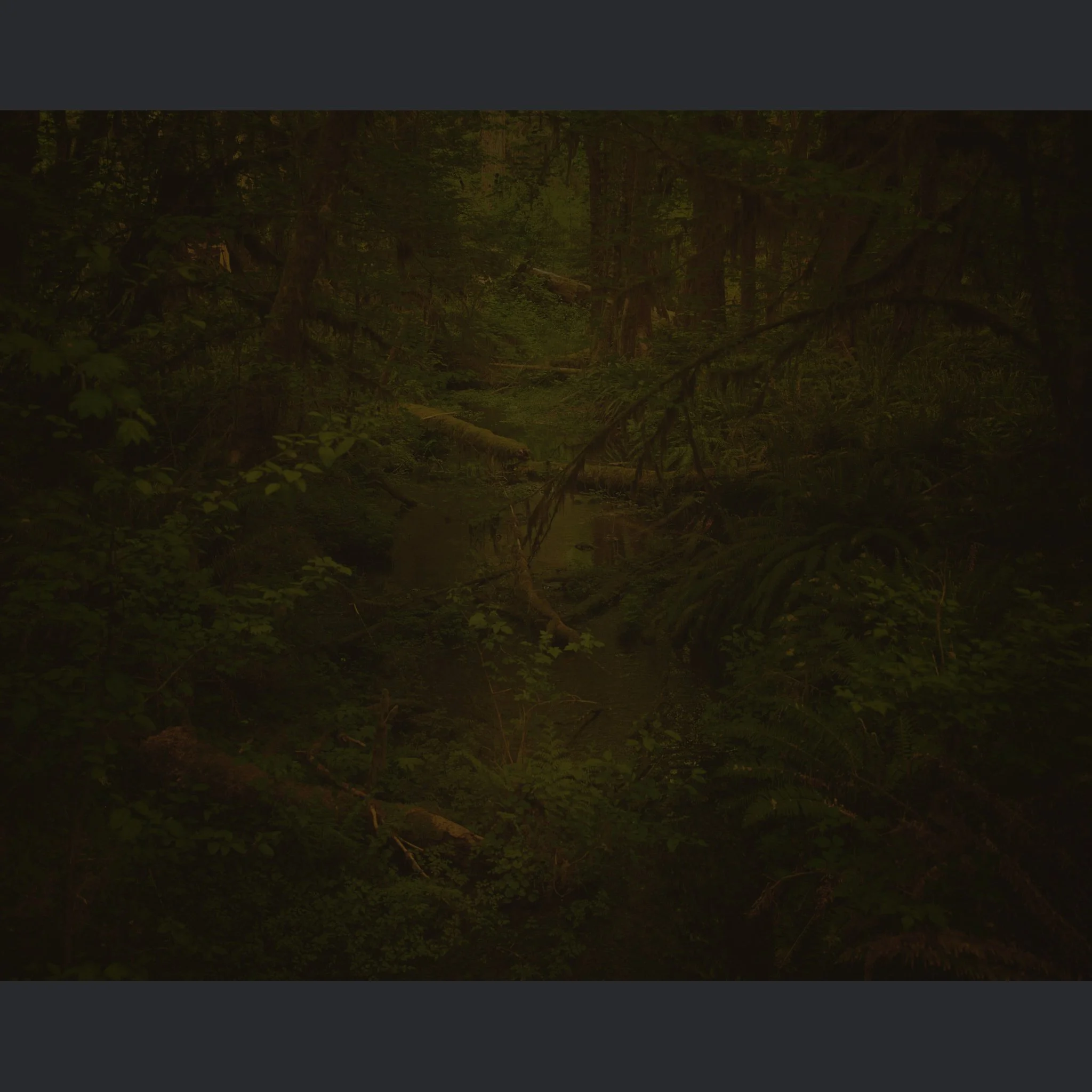 ForestPlate copy.jpg