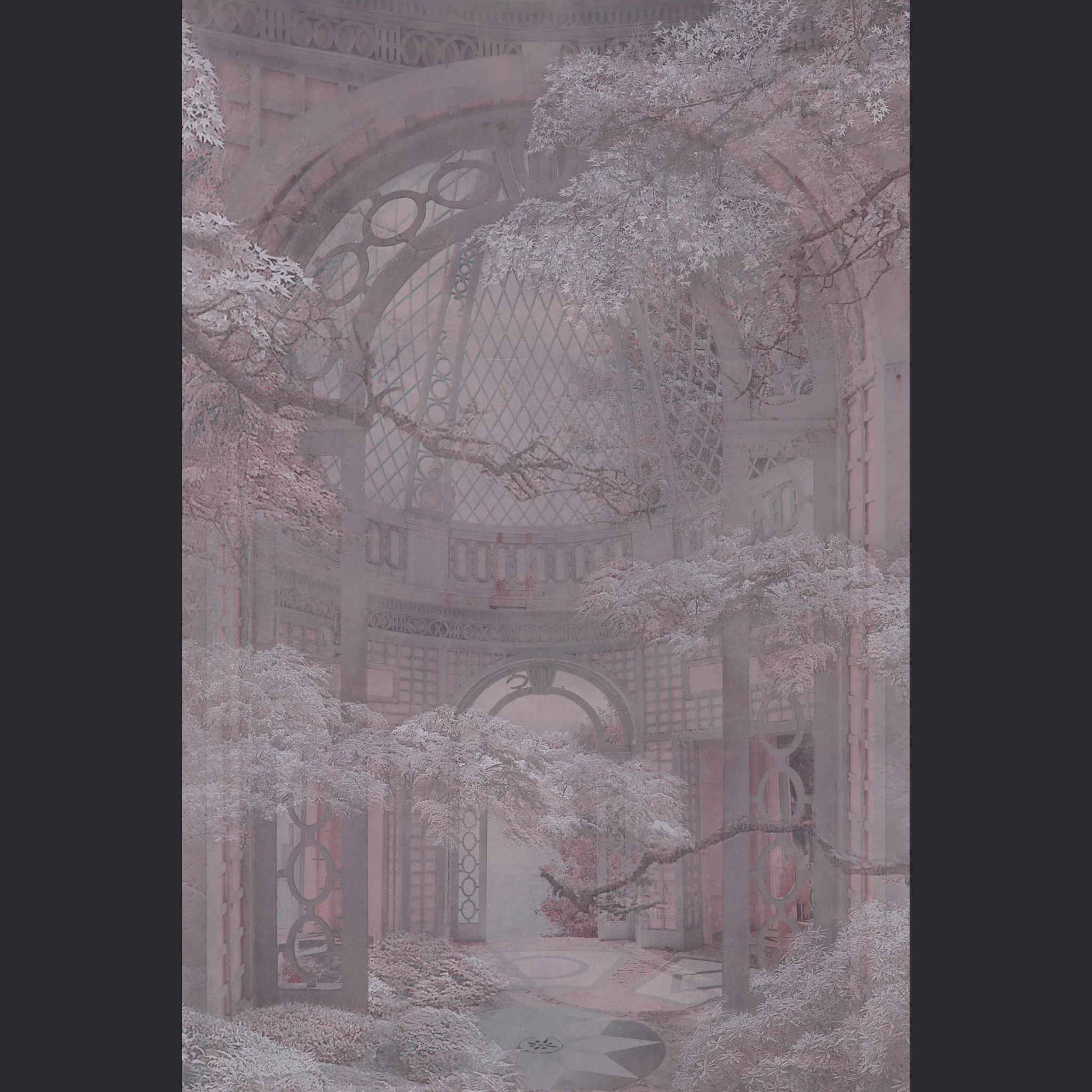 Birdcage copy.jpg