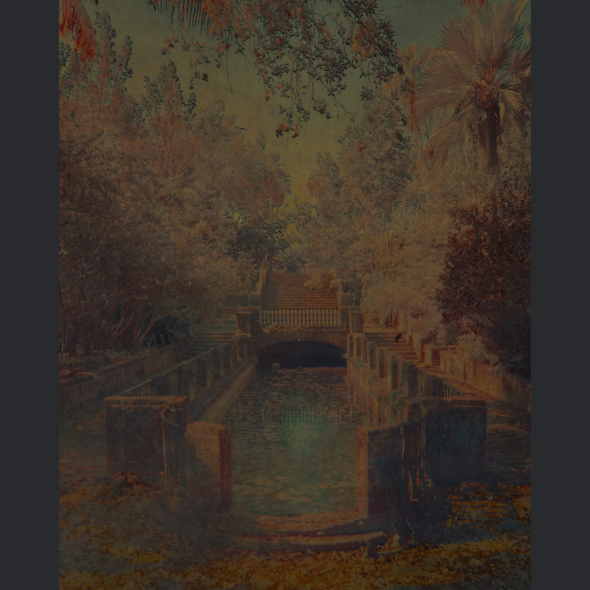 SecretGarden copy.jpg