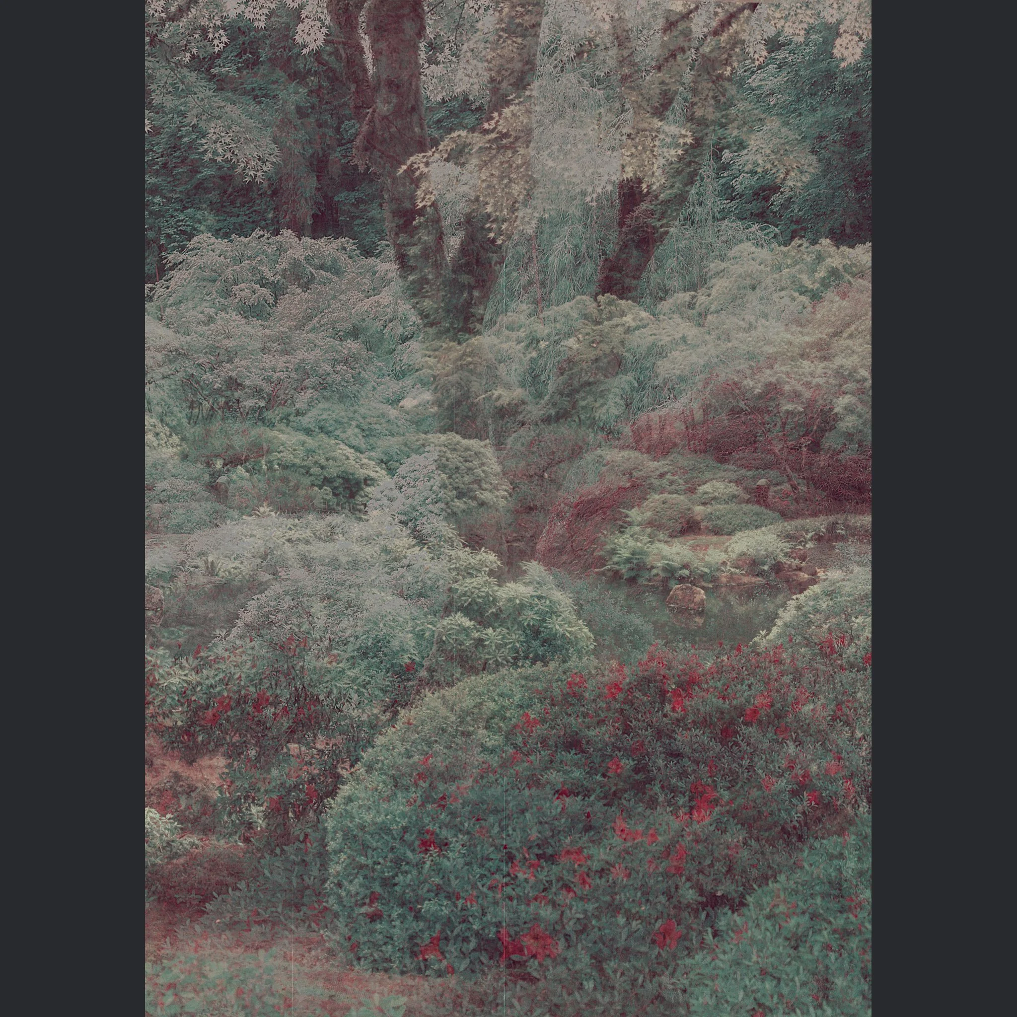 JapaneseGarden copy.jpg
