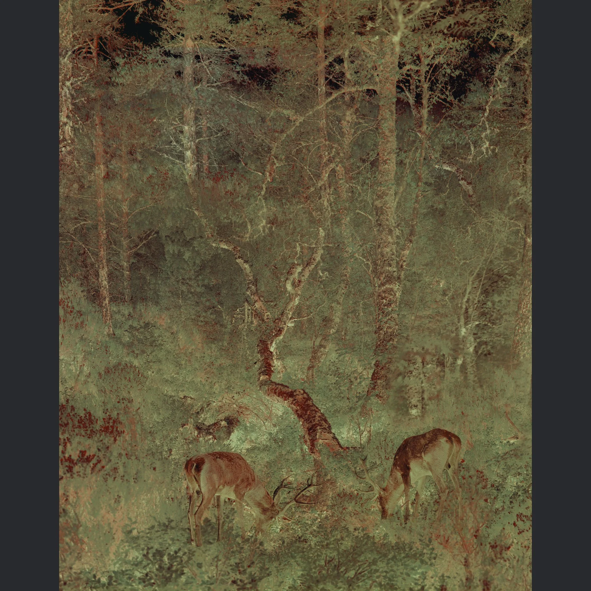 Grazing copy.jpg