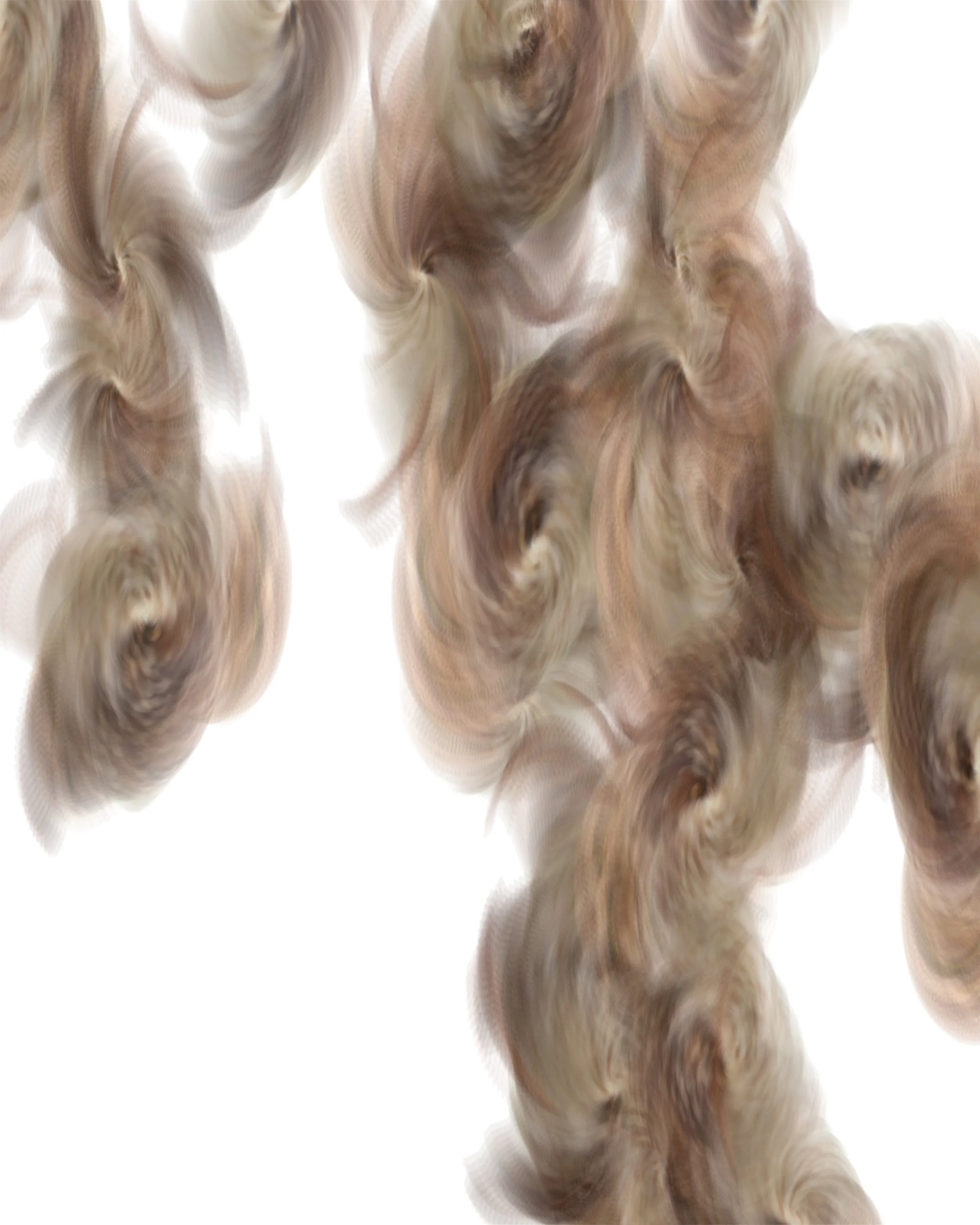 burrowingOwl_originalpalette.jpg