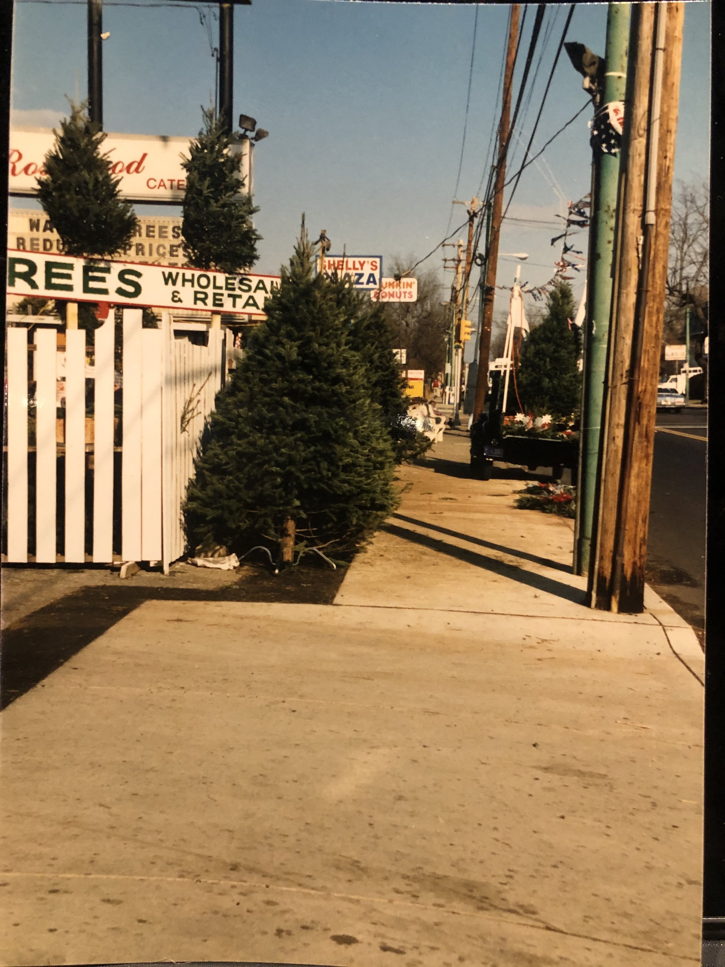 IMG_9209.jpeg