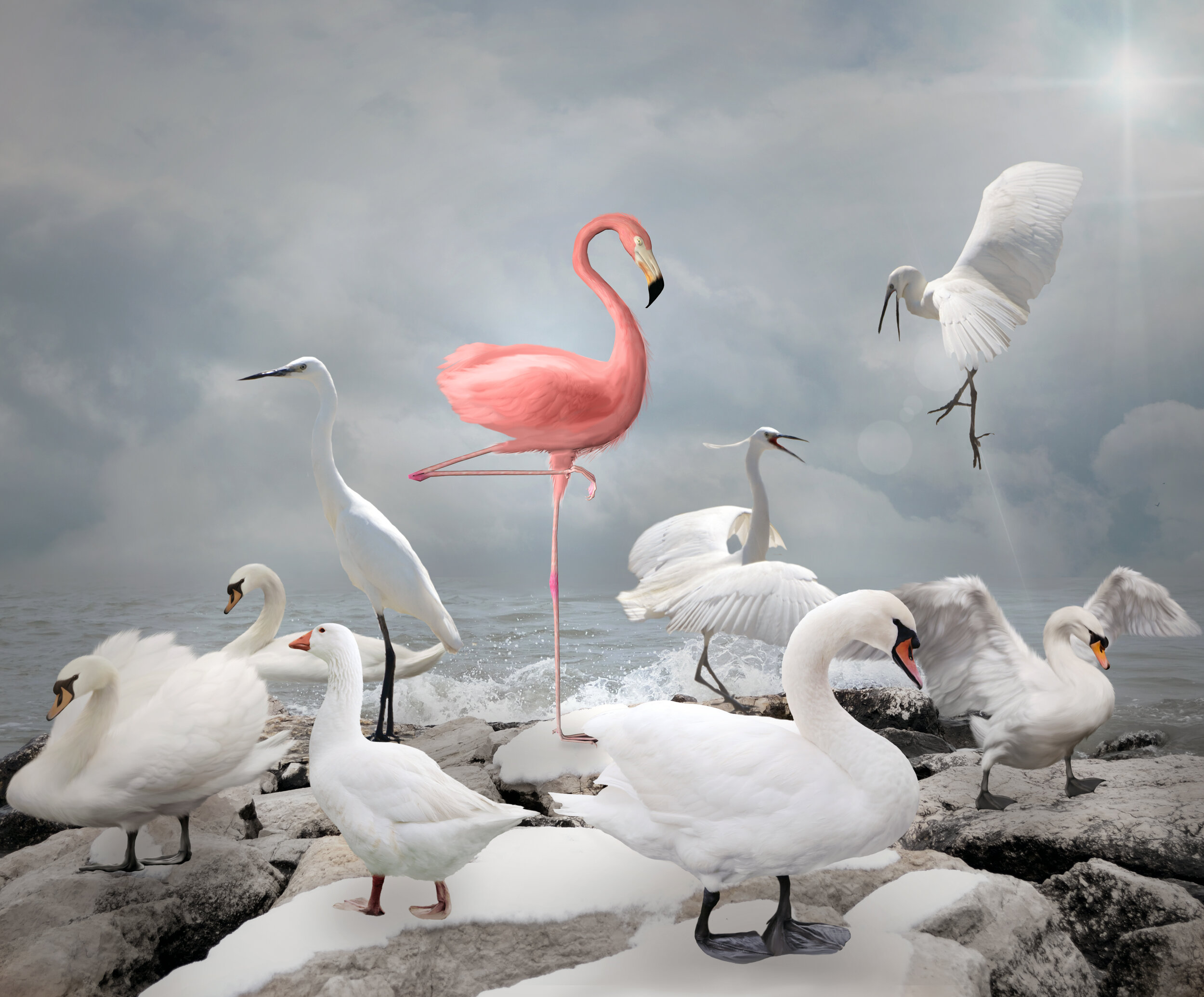 iStock-506100822.jpg