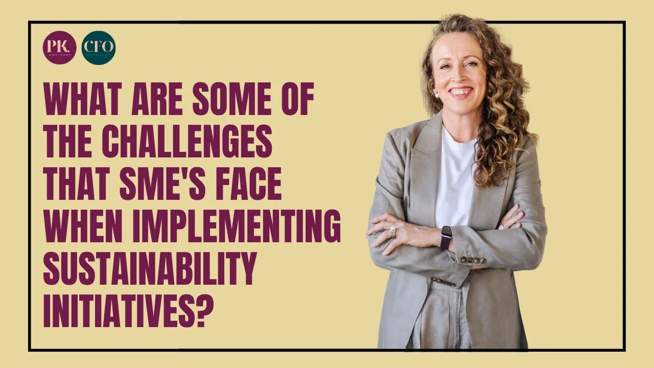 What are some of the Challenges that SME's face when implementing sustainability initiatives?